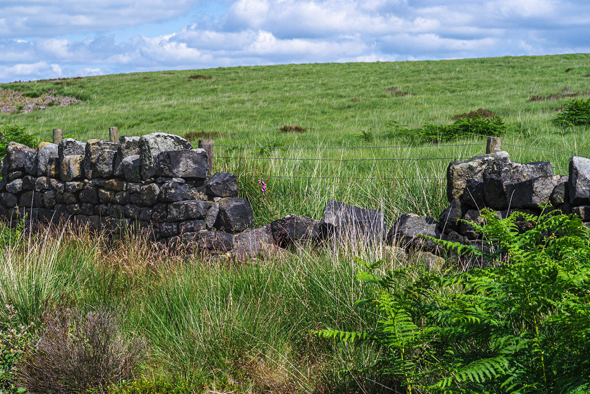 Withens Clough Reservoir , Hebden Bridge