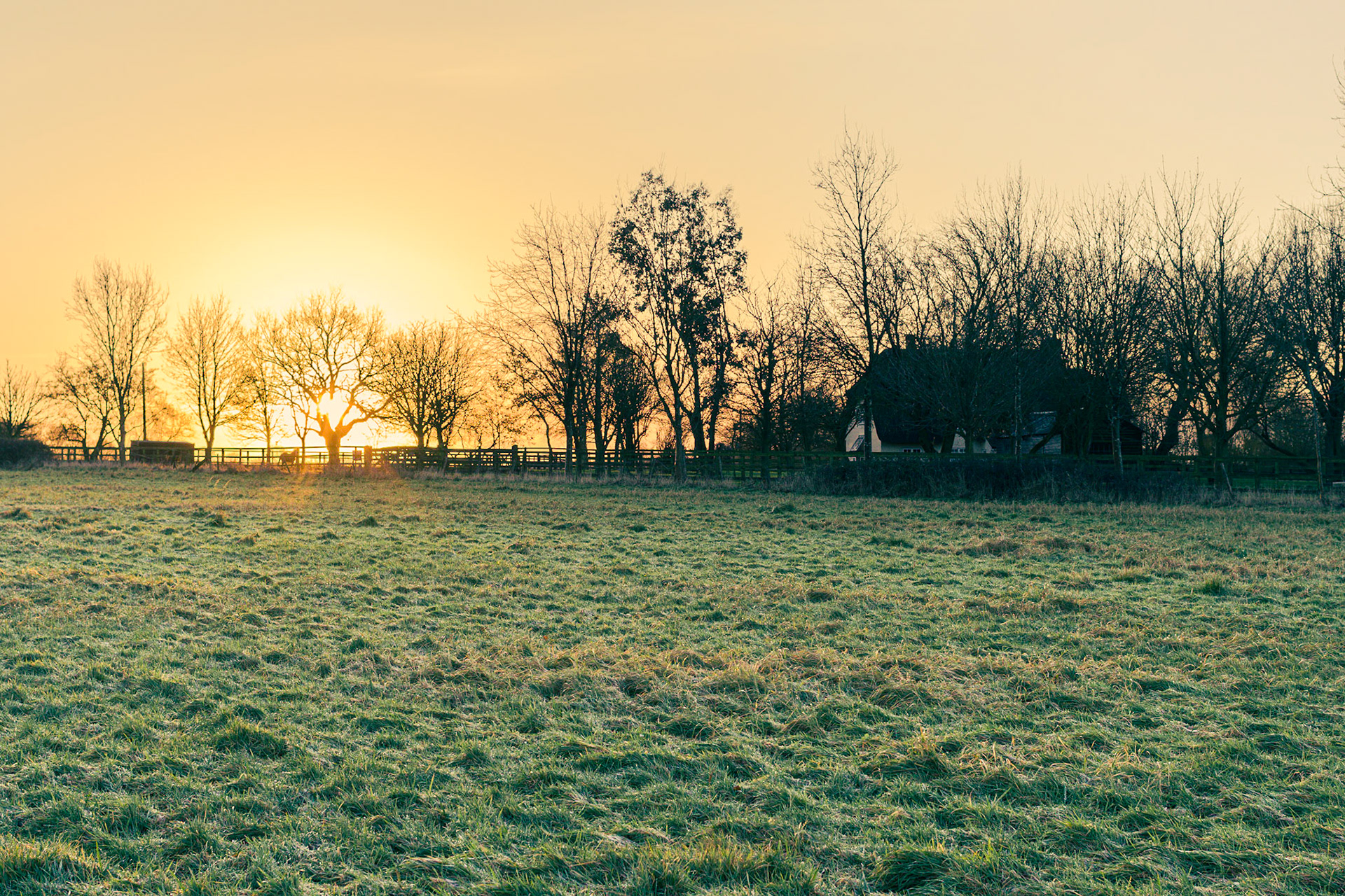 Hertfordshire Sunrise