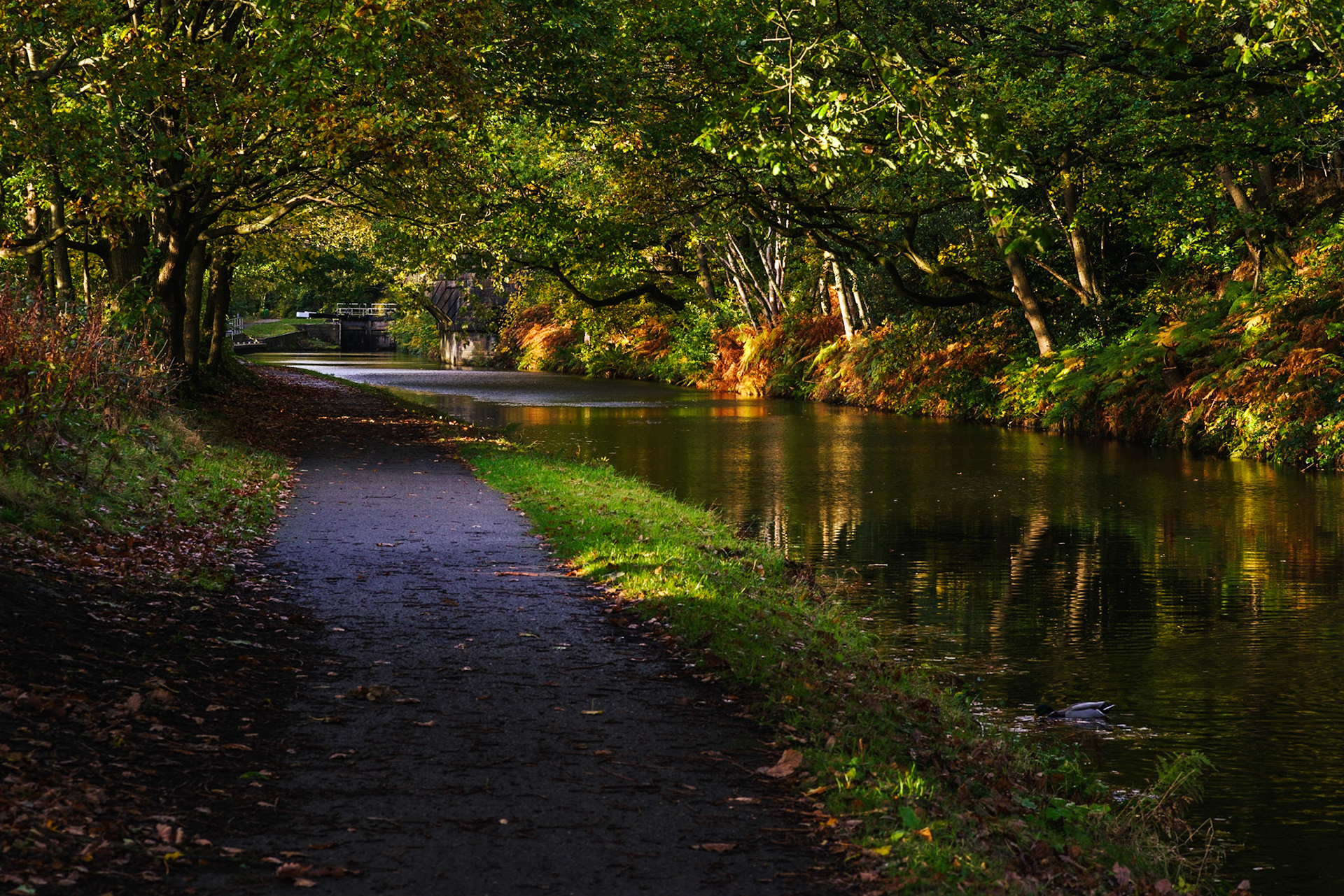 Elland Wood Viaduct and Lock Late Afternoon, Calder &amp; Hebble Navigation looking towards Elland Wood Viaduct. Landscape. Colour Hahnemühle PhotoRag Baryta