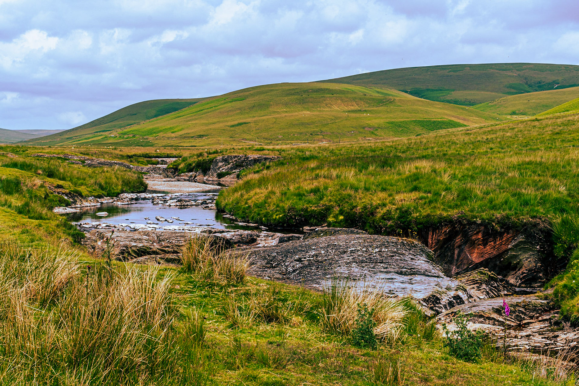 Sheep Poo Corner, River Elan