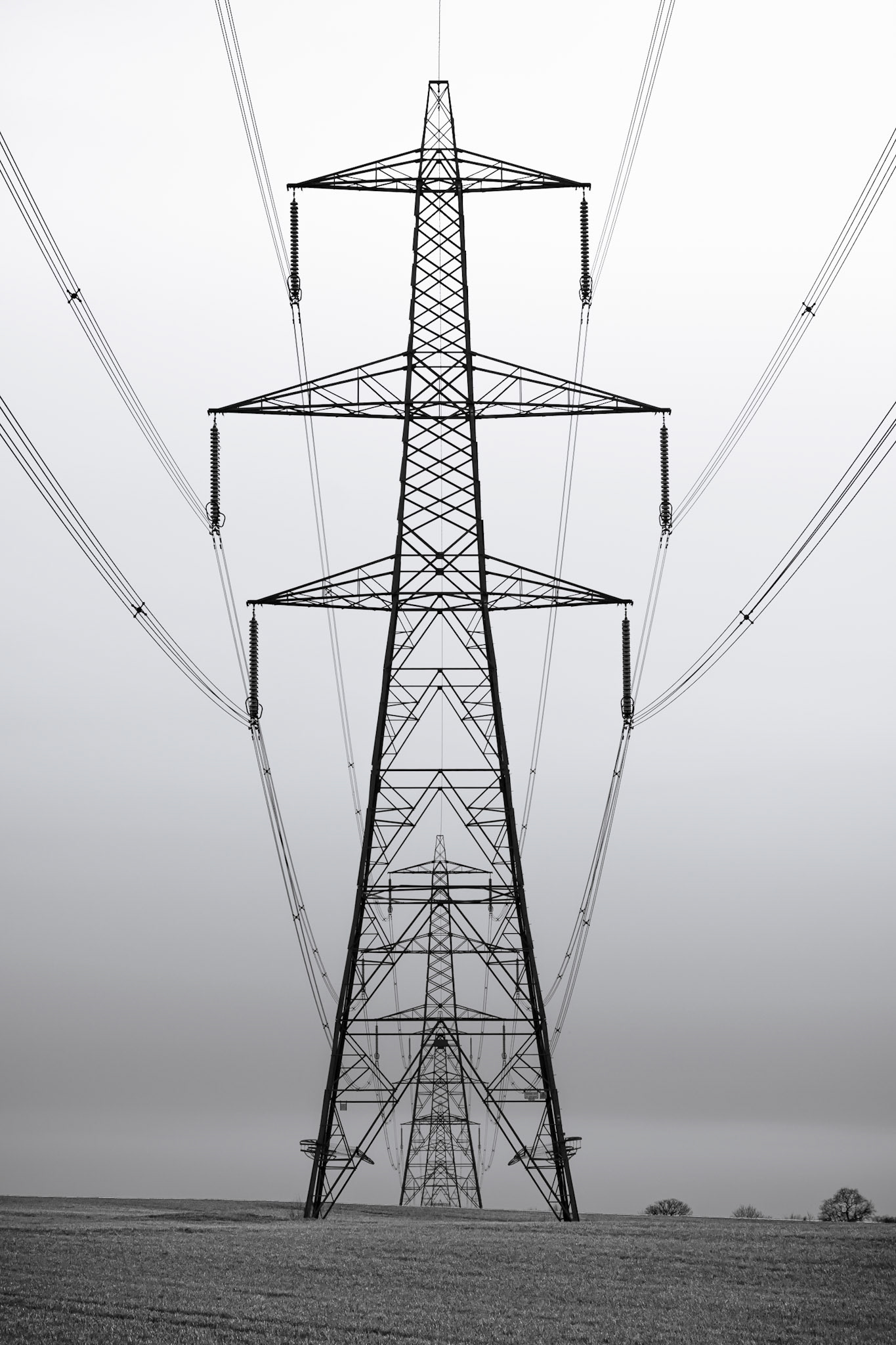 What a Line-up! A line-up of pylons heading in to the distance. Can you spot how many? Portrait. B'n'W. Printed on Hahnemühle PhotoPearl