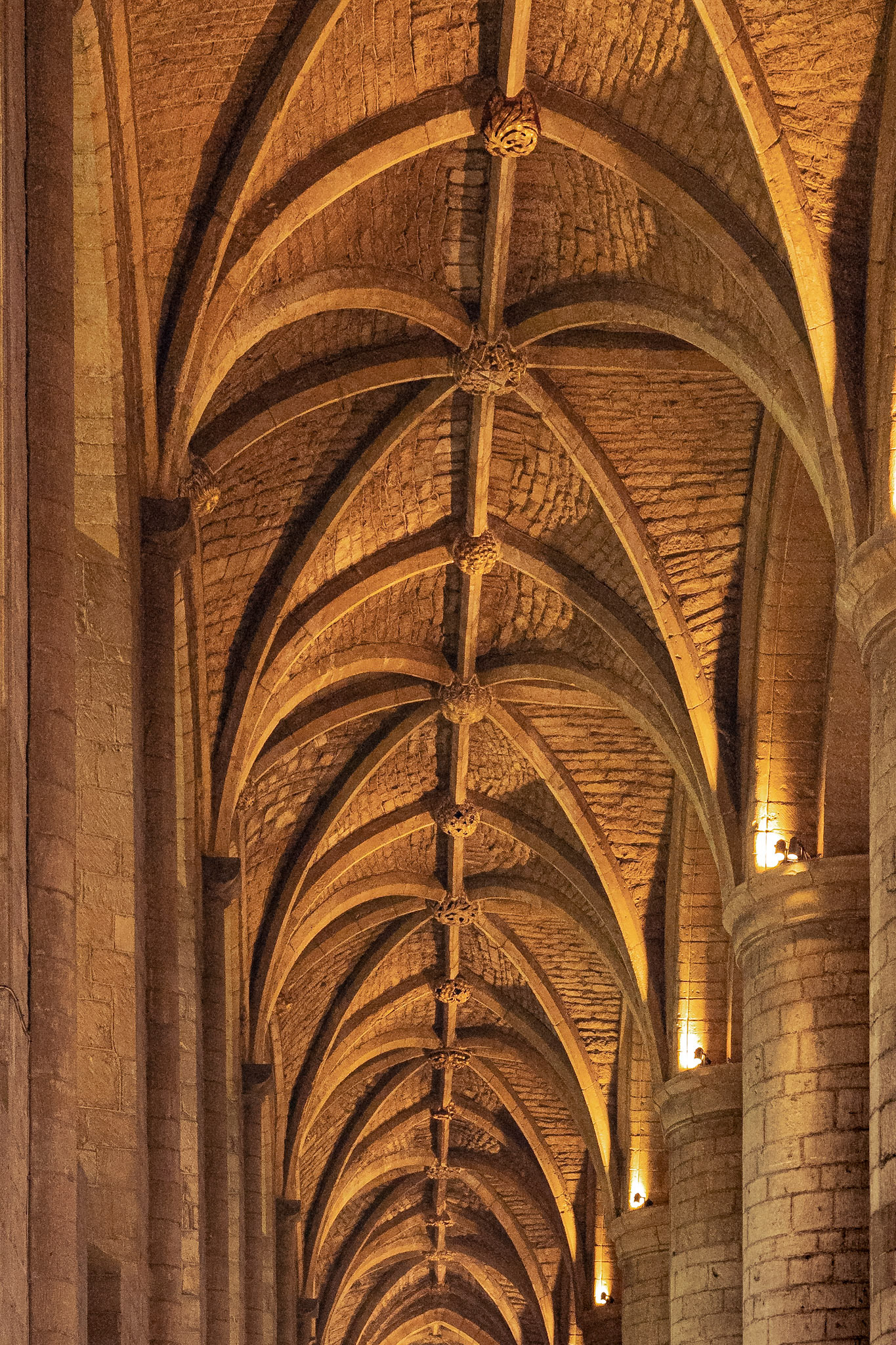 Cathedral Roof: Tewkesbury Cathedral. Ceiling detail. Portrait. Colour. Printed on Hahnemühle PhotoPearl.