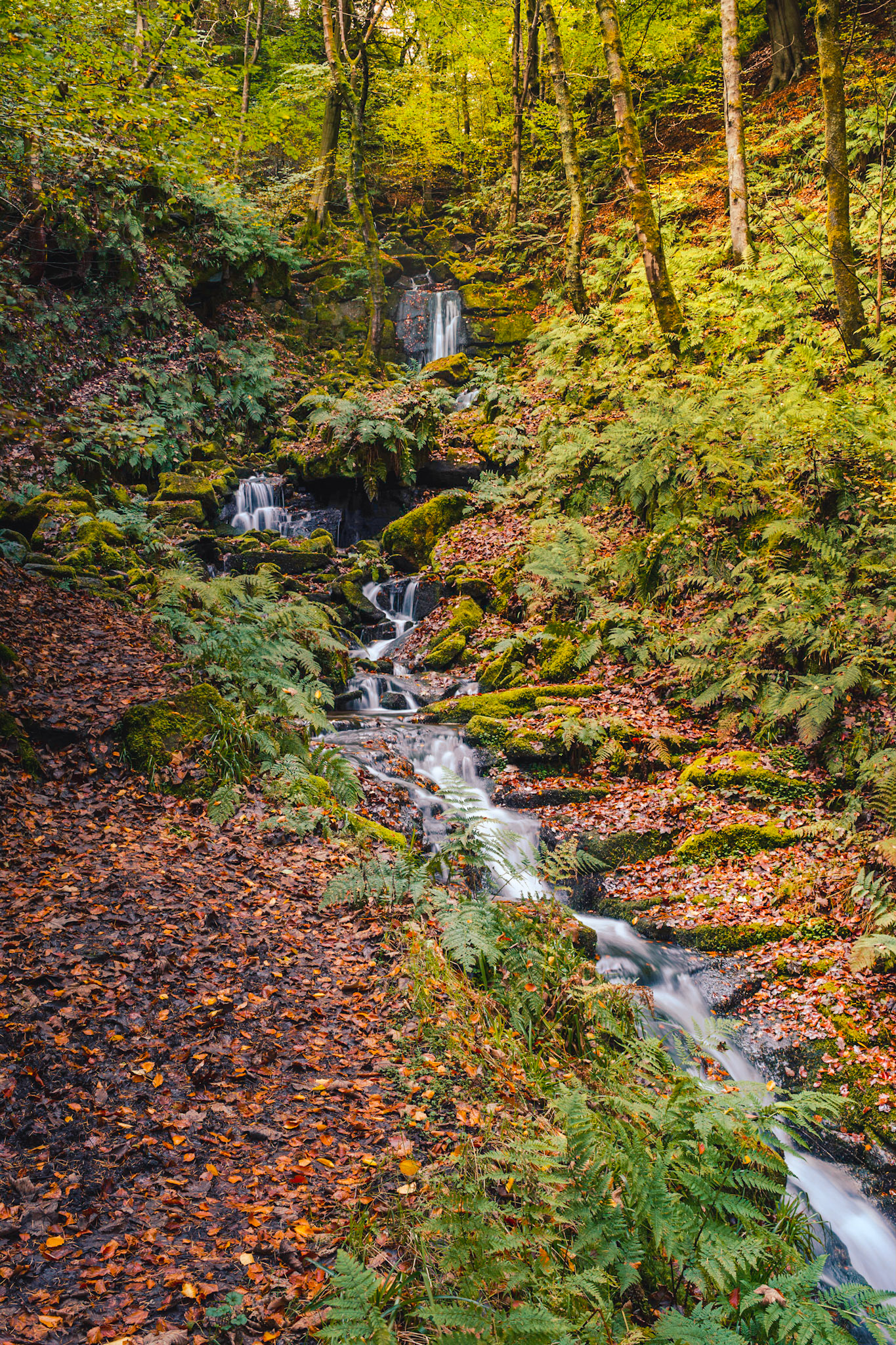 The waterfall at Gibson Mill, Hardcastle Crags, West Yorkshire. Portrait. Colour. Hahnemühle PRBaryta