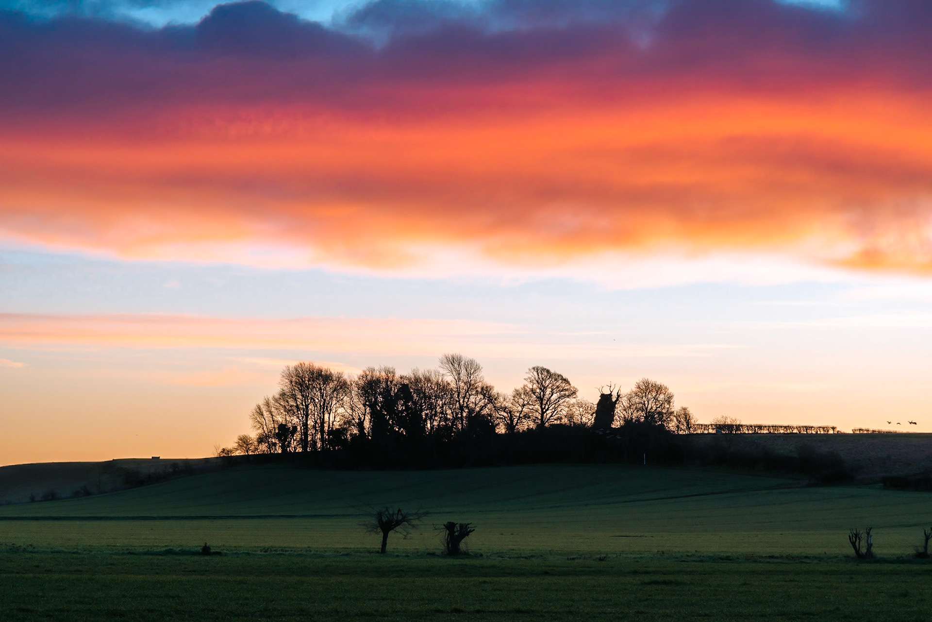 Clouds on Fire at Sunrise