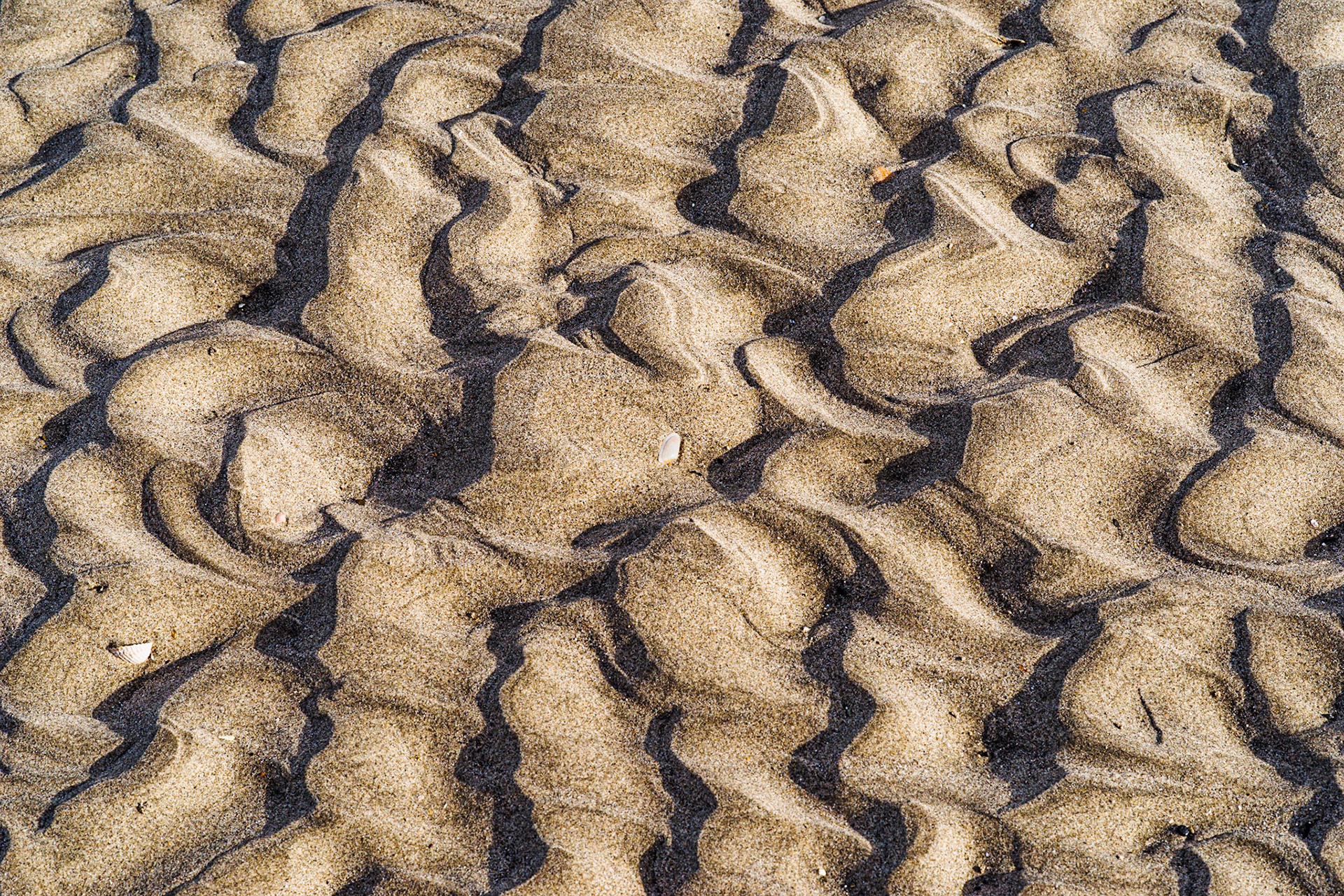 Tide's Out. Landscape. Colour. Printed on Hahnemühle PhotoRag Metallic.