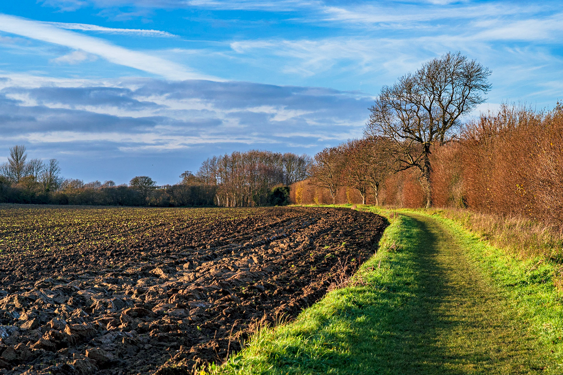 Radwell Meadows, Hertfordshire