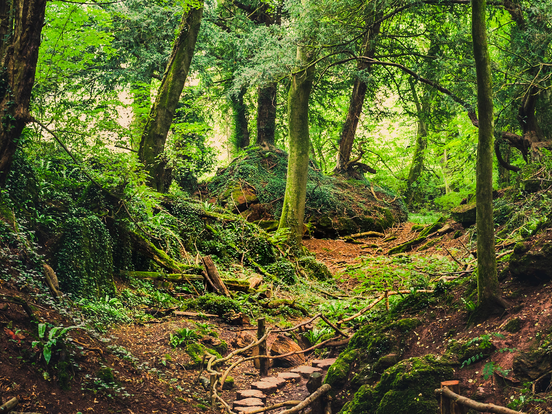 Stepping Stone Walkway: Puzzle Wood (6of6). Landscape. Colour. Printed on Hahnemühle PhotoPearl.