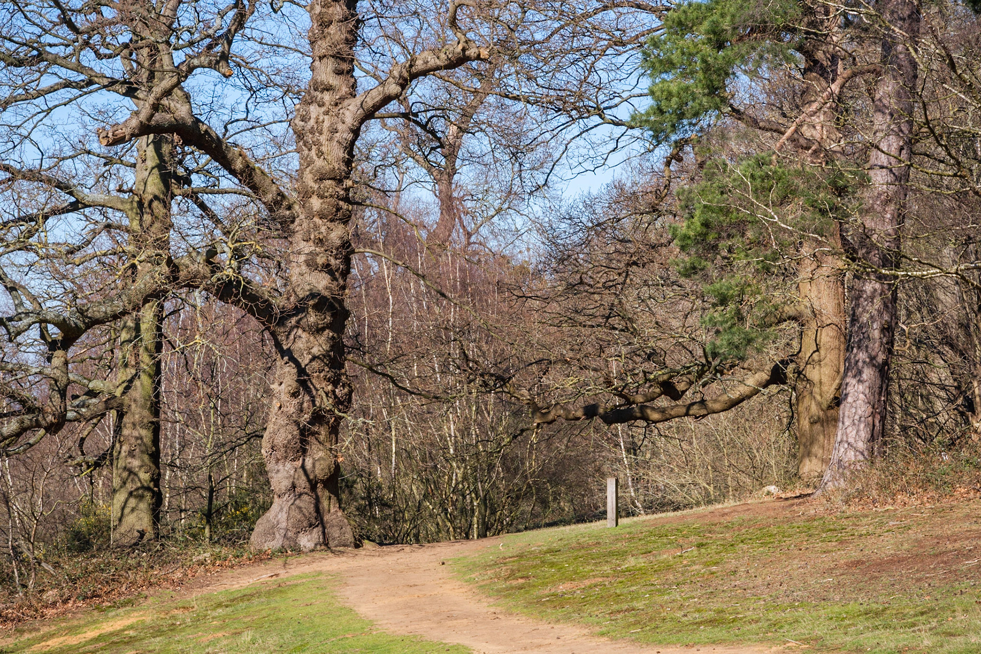 Ampthill Park, Bedfordshire