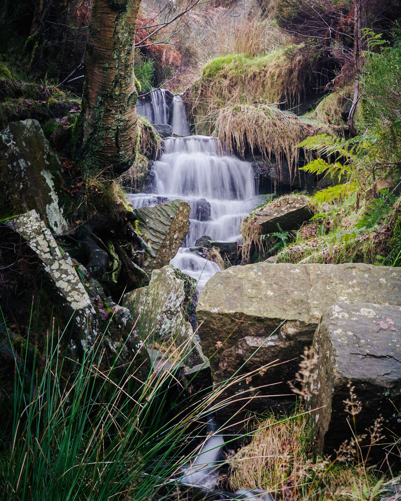Bronte Waterfall. Portrait. Colour. Printed on Hahnemühle FineArt Torchon.
