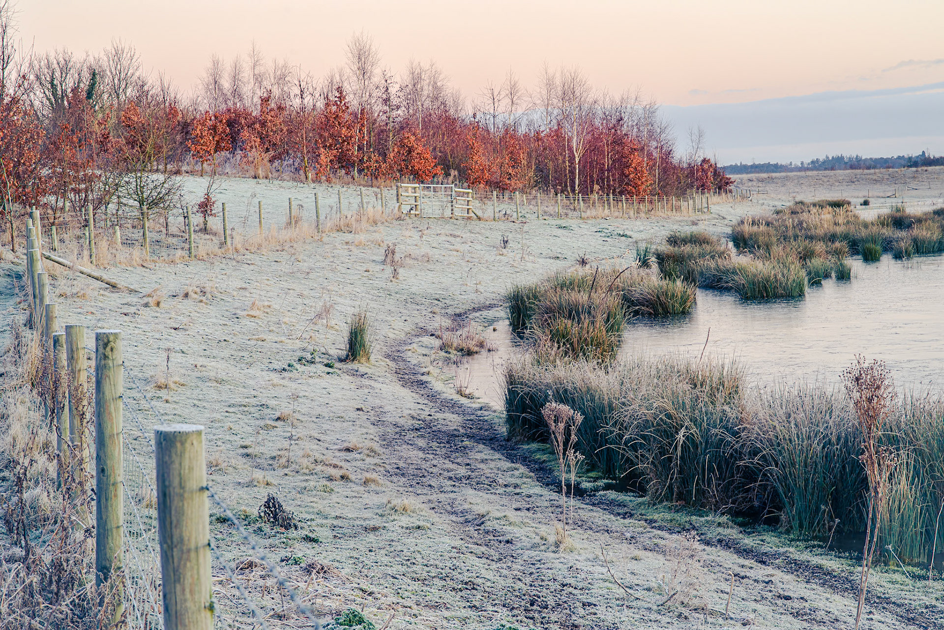 Broom Quarry, Bedfordshire