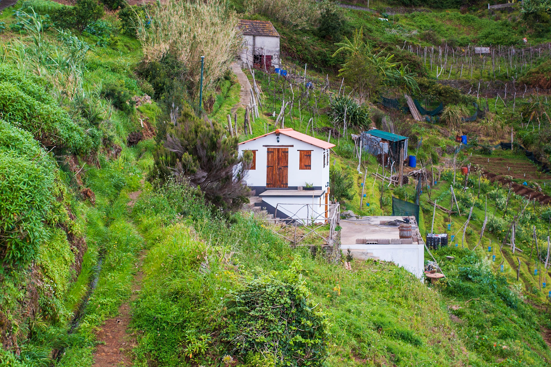 Living on the Slopeside, Madeira
