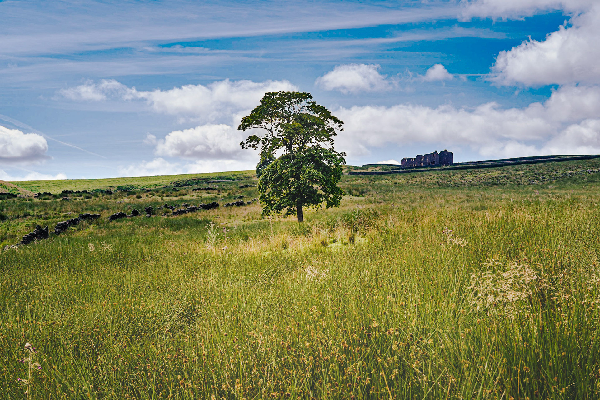 Withens Clough Reservoir looking towards Red Dykes Farm