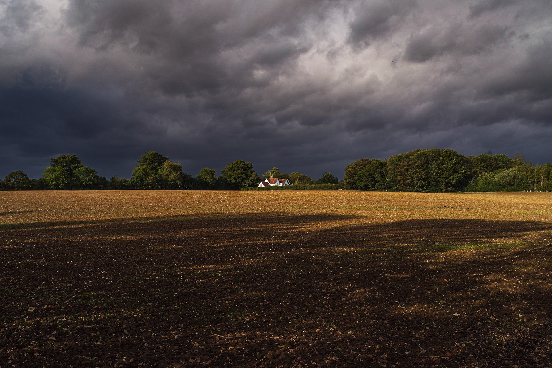 Storm Brewing: Willian, Hertfordshire