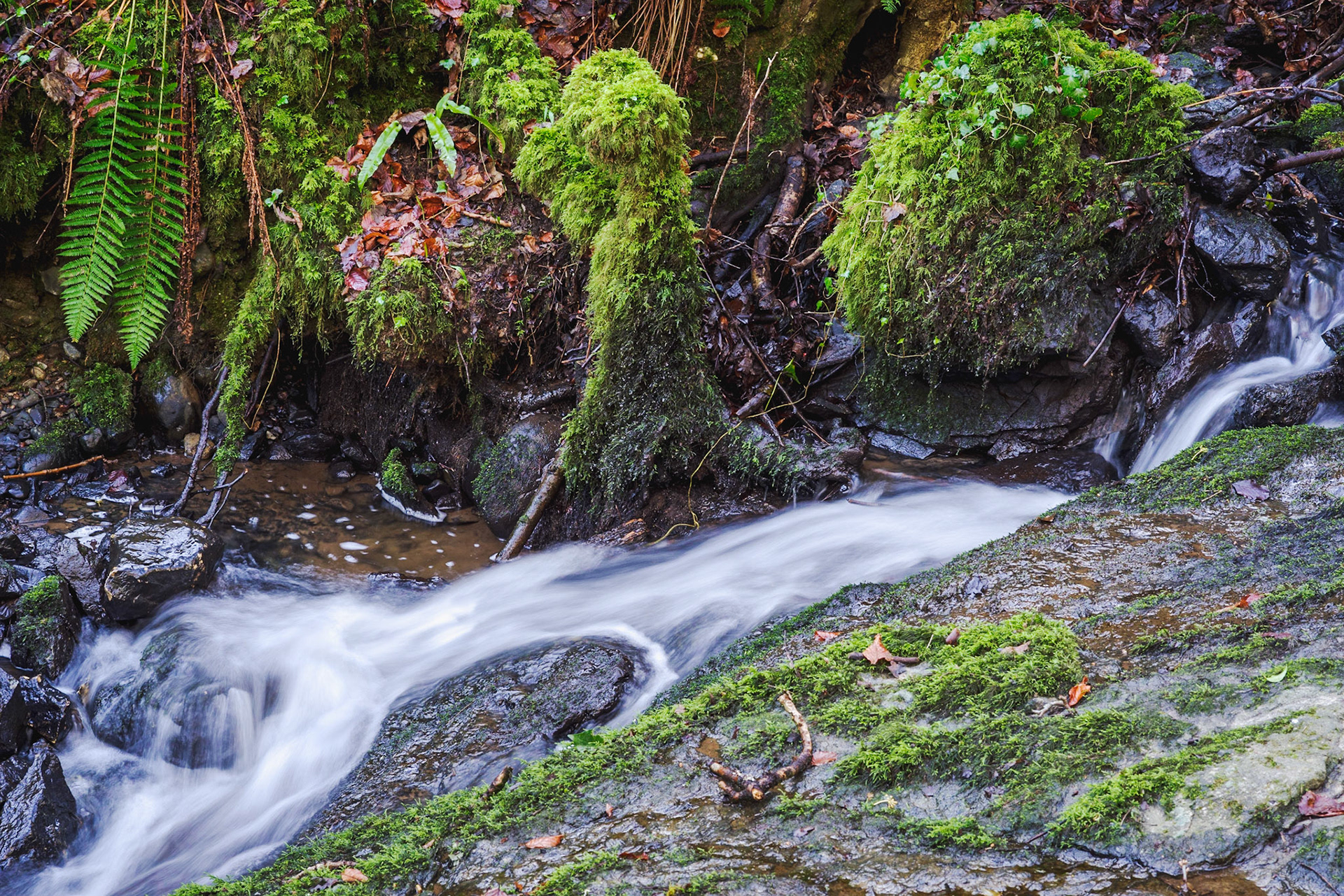 Nant Meigan Mill Race, Beaumaris. Printed on Hahnemühle PhotoRag Baryta.