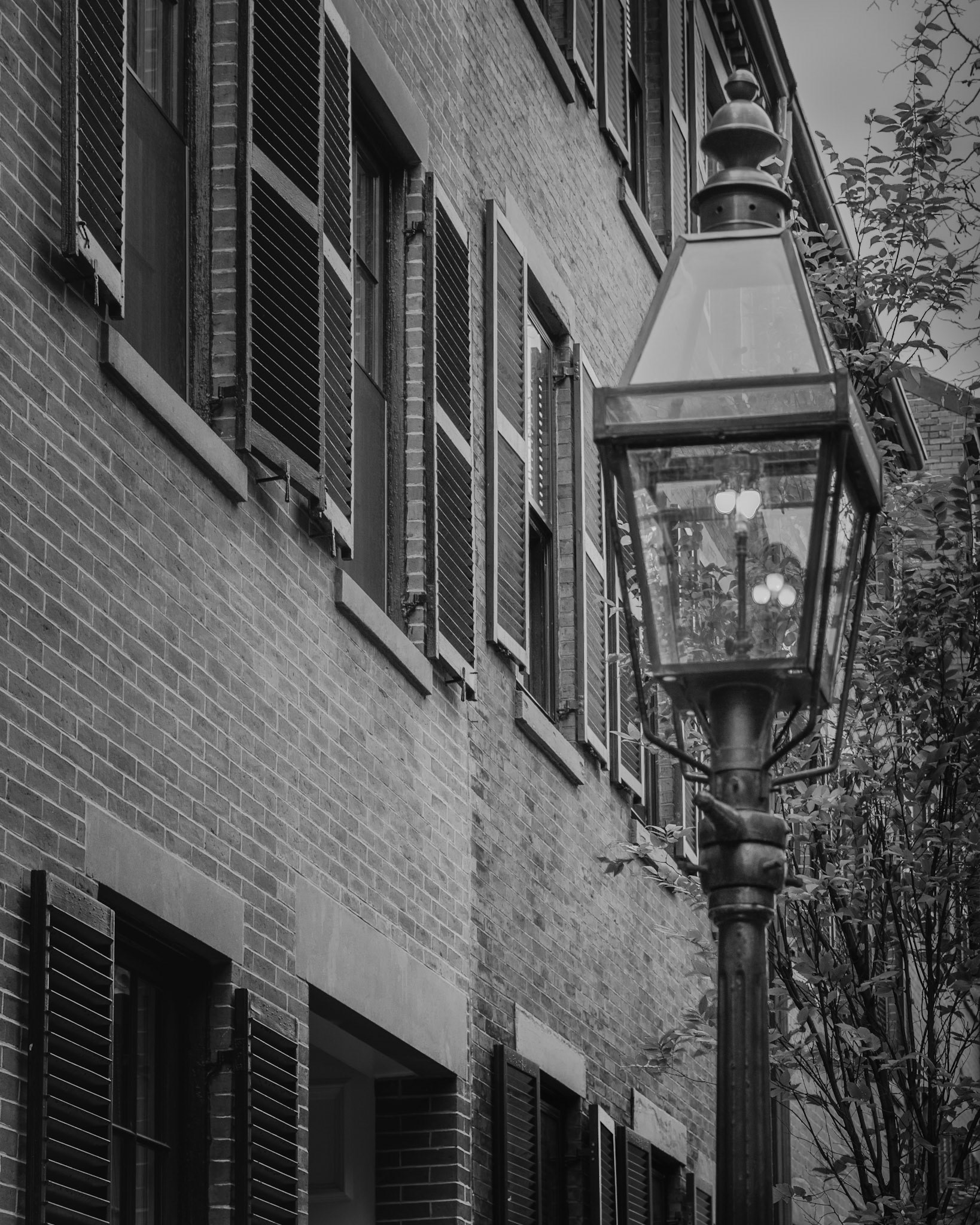 Street Lamp: Boston, Massachusettes.