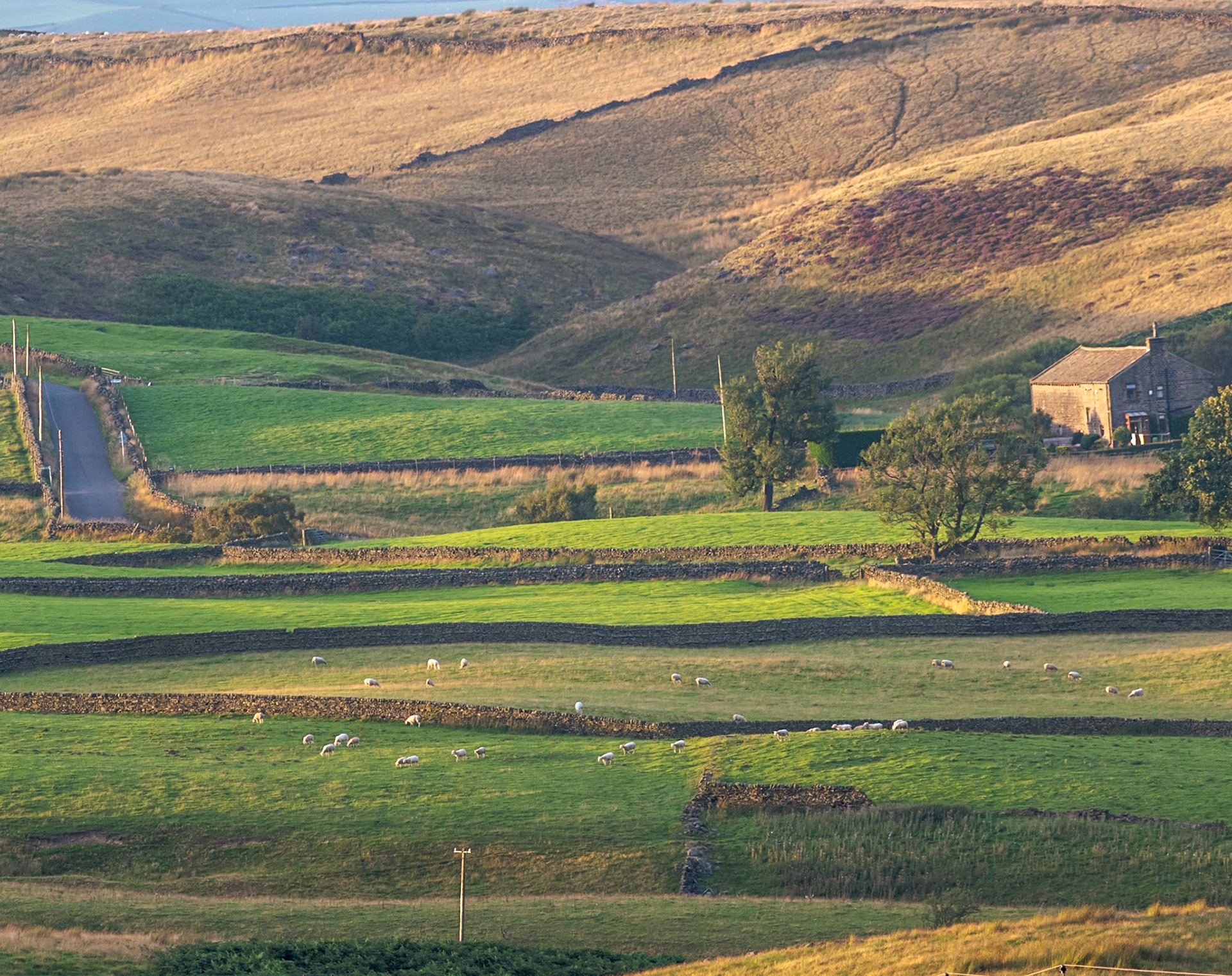 The Moors, West Yorkshire. Landscape. Colour. Hahnemuhle GermanEtching.