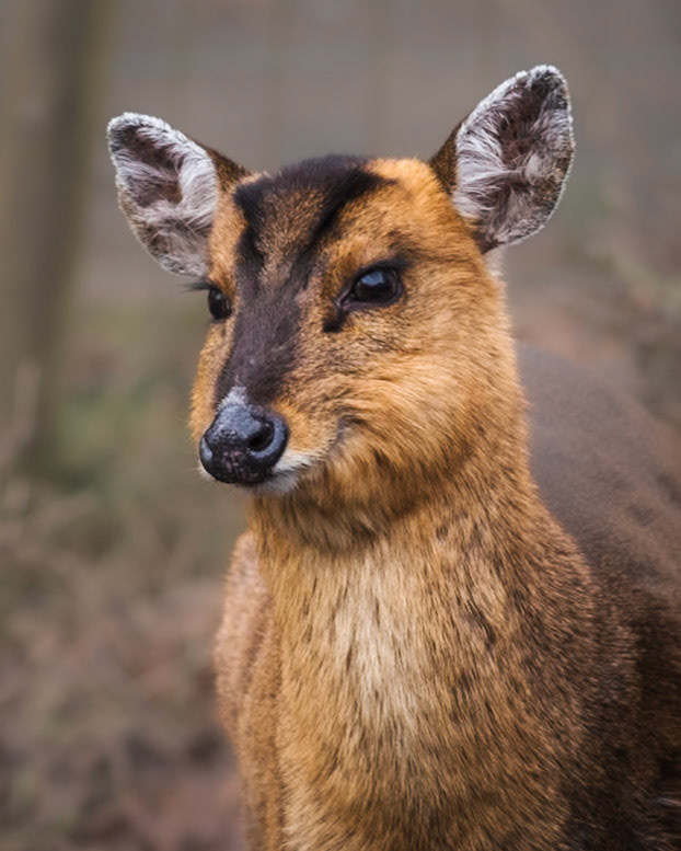 The name's Jac. MuntJac. Licensed to smile.