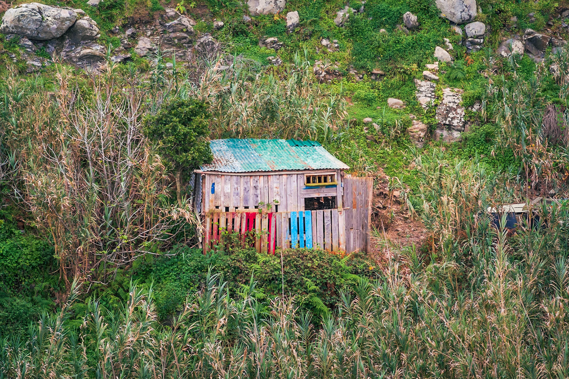 Colourful Coop: A Madeiran hillside.