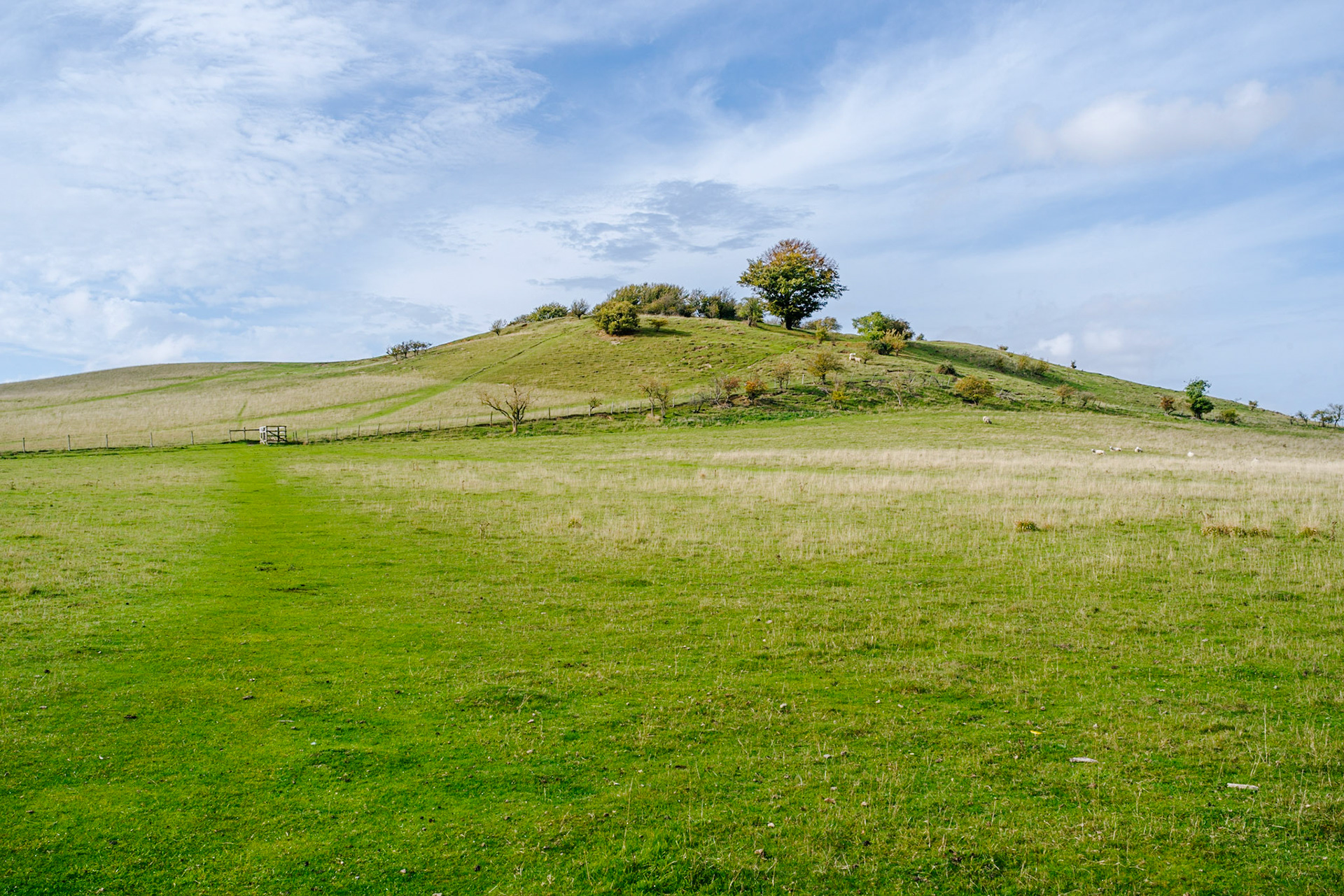 Pegsdon Hills and Hoo Bit Nature Reserve.