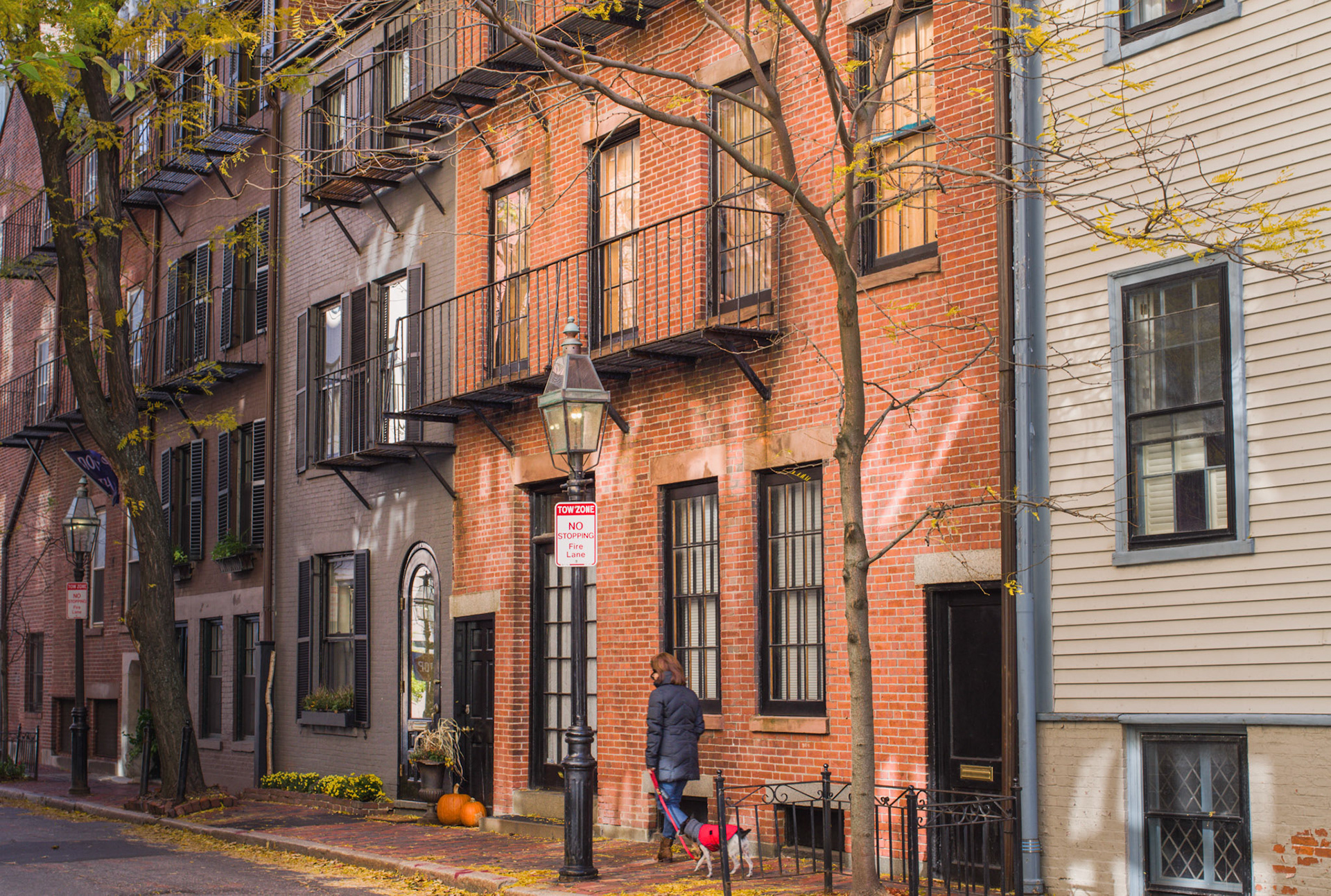 Halloween Pumpkins: Beacon Hill, Boston MA.