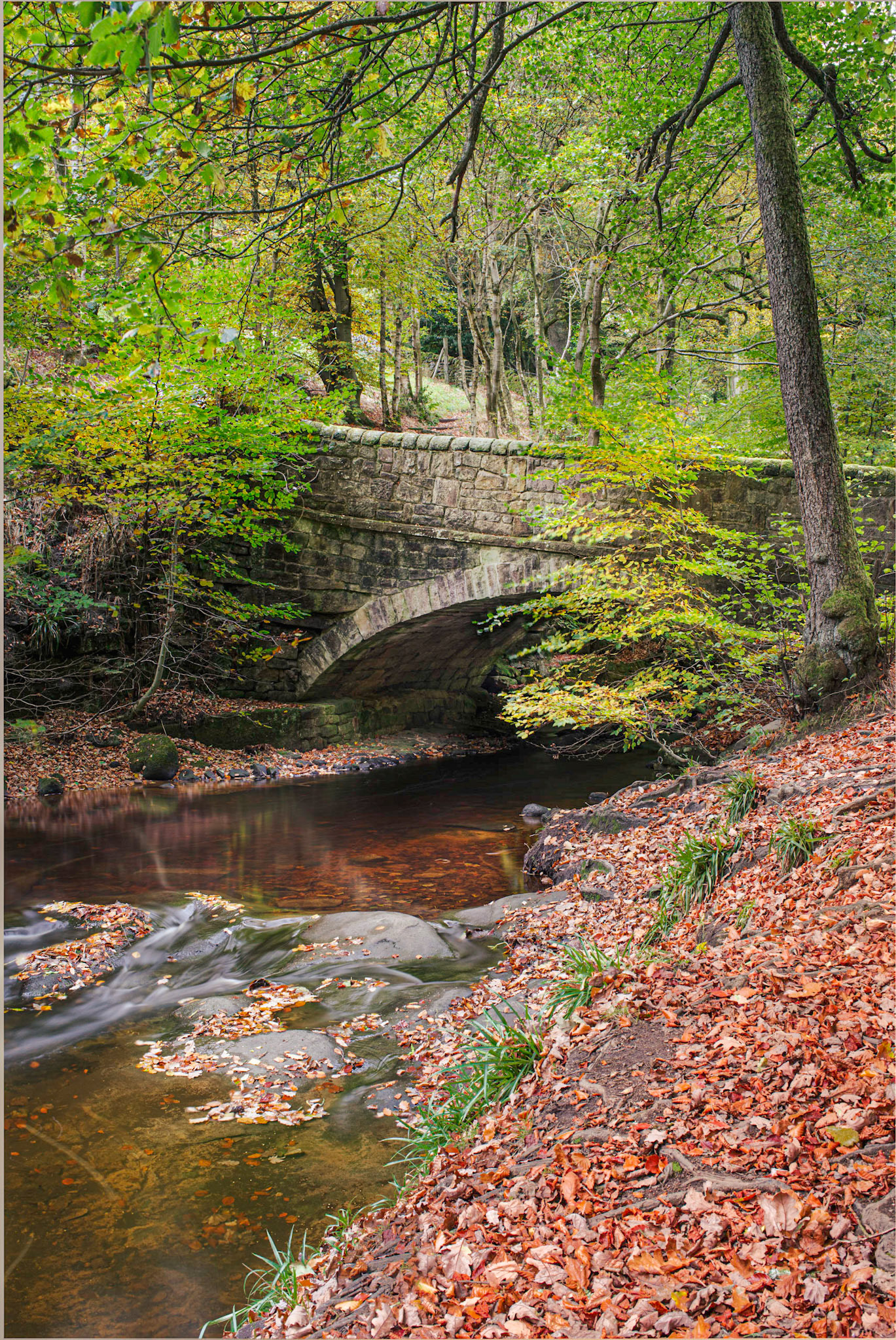 Under the Bridge at Jerusalem Farm, Wade Wood, Luddendenfoot, Calderdale Countryside Service