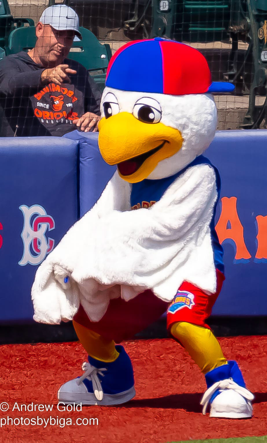 brooklyn cyclones mascot｜TikTok Search