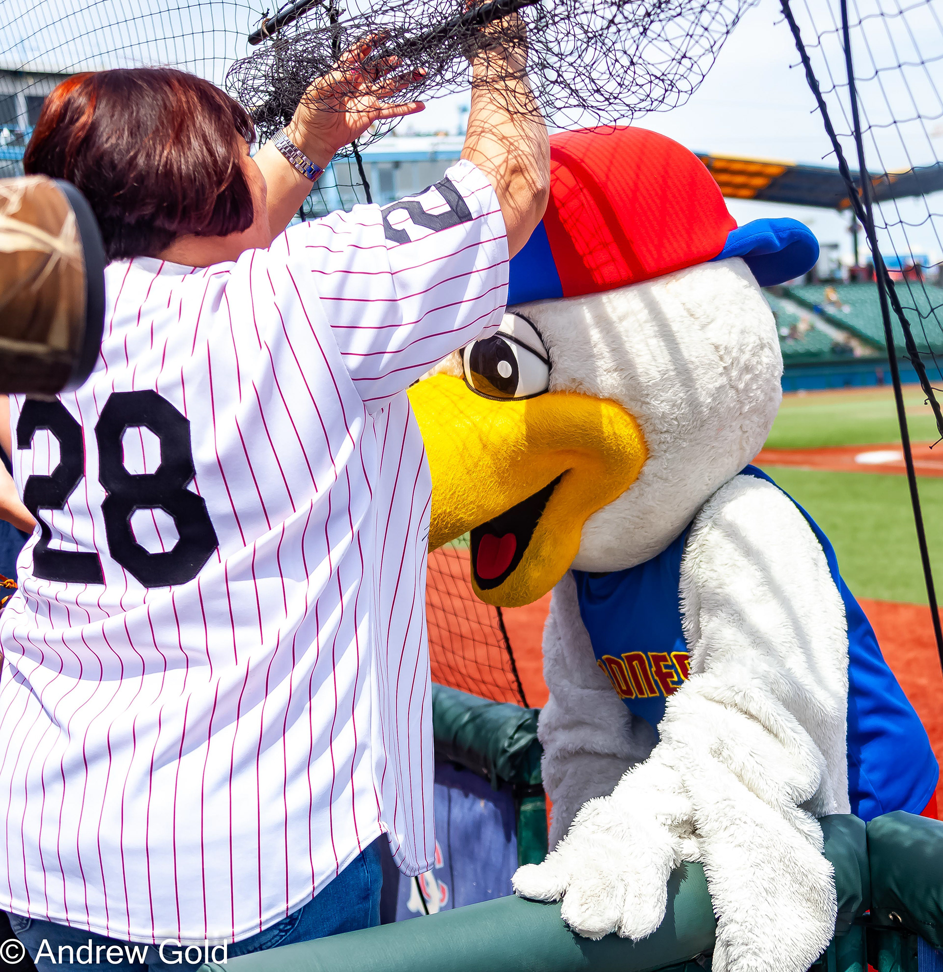 brooklyn cyclones mascot｜TikTok Search