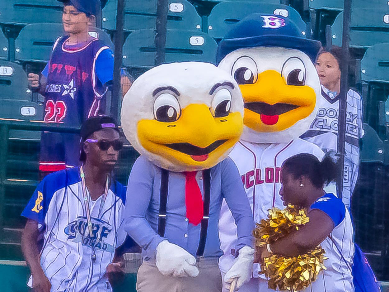 View from inside the Brooklyn Cyclones' Sandy the Seagull suit