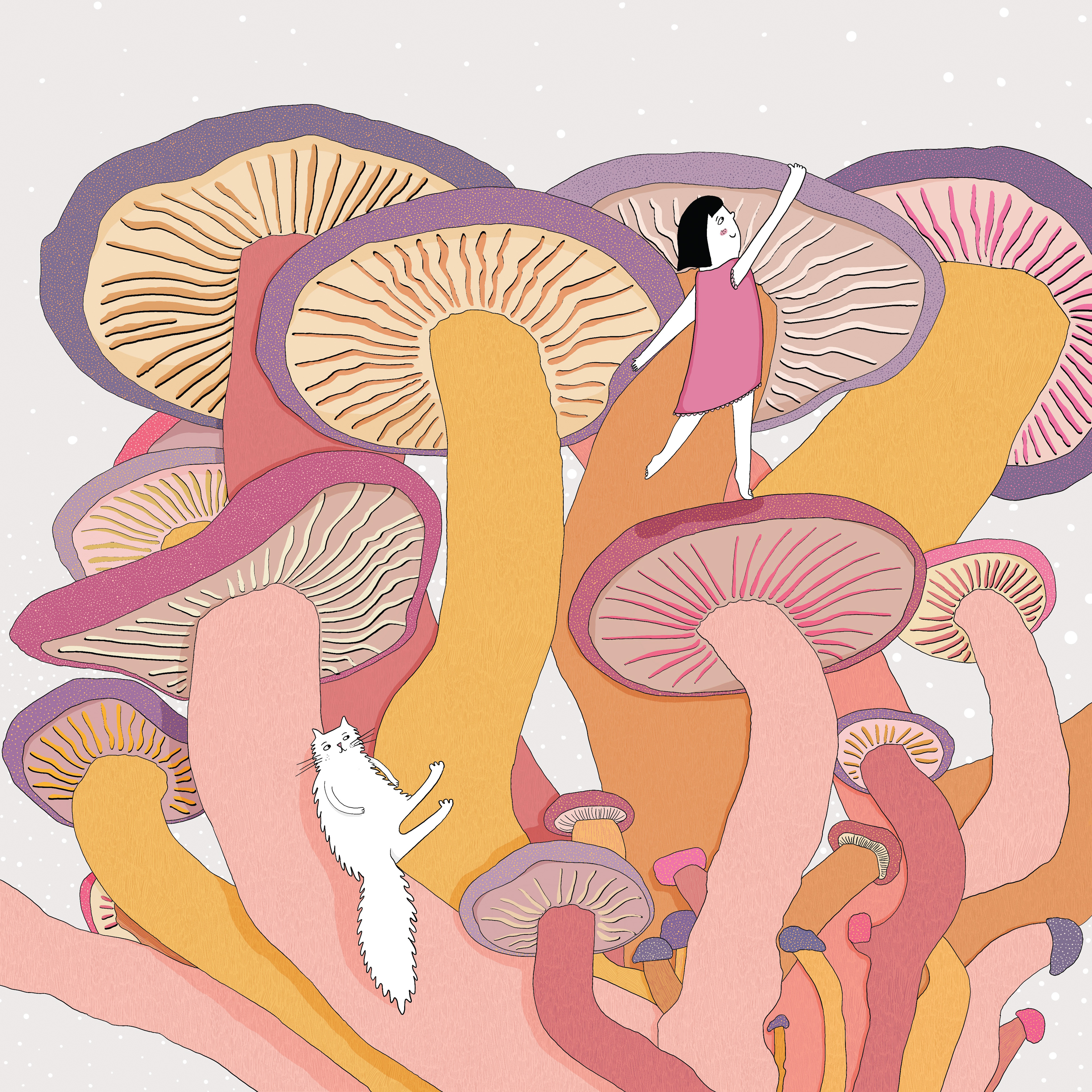 Ottobre - Funghi
