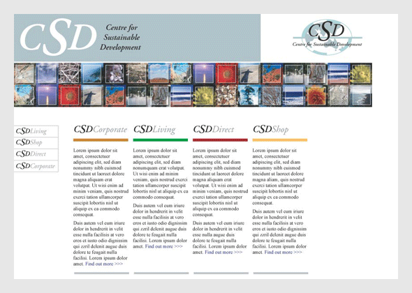 Centre for Sustainable Development  - Proposal web site 