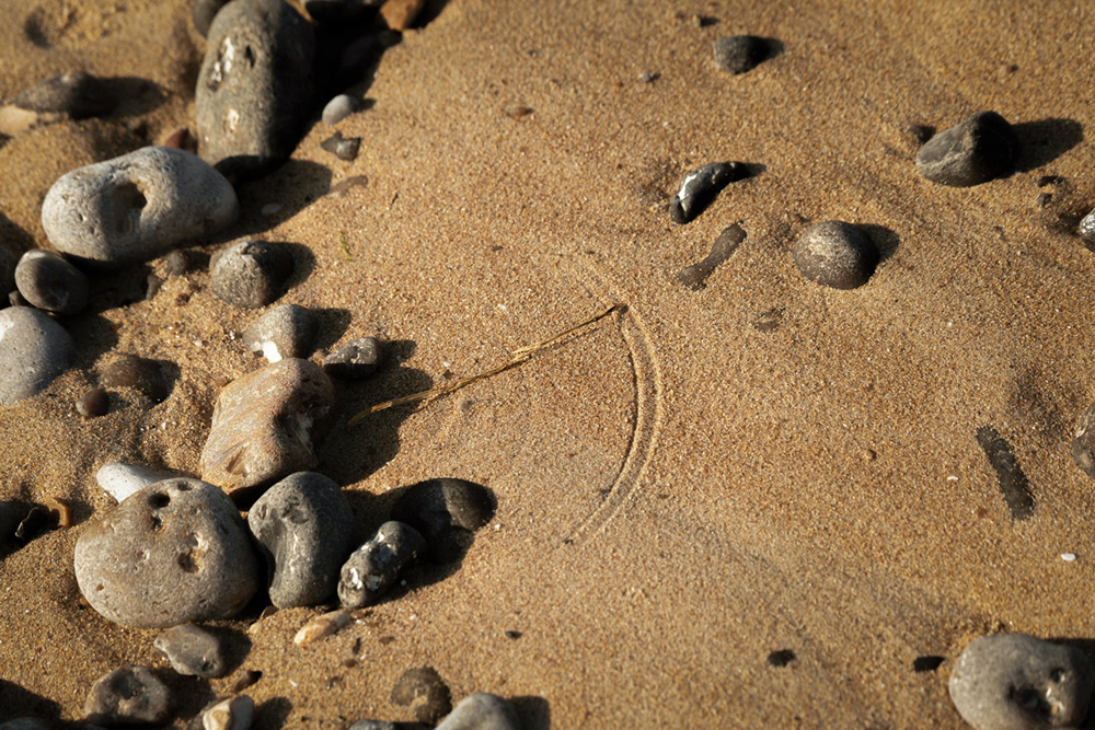 Tempus Fugit. Tirage Hahnemühle Ultra Smooth 305g 30x21.4cm.