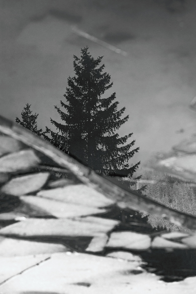 Réflexion Glacée. 30 x 40 cm. E.O.