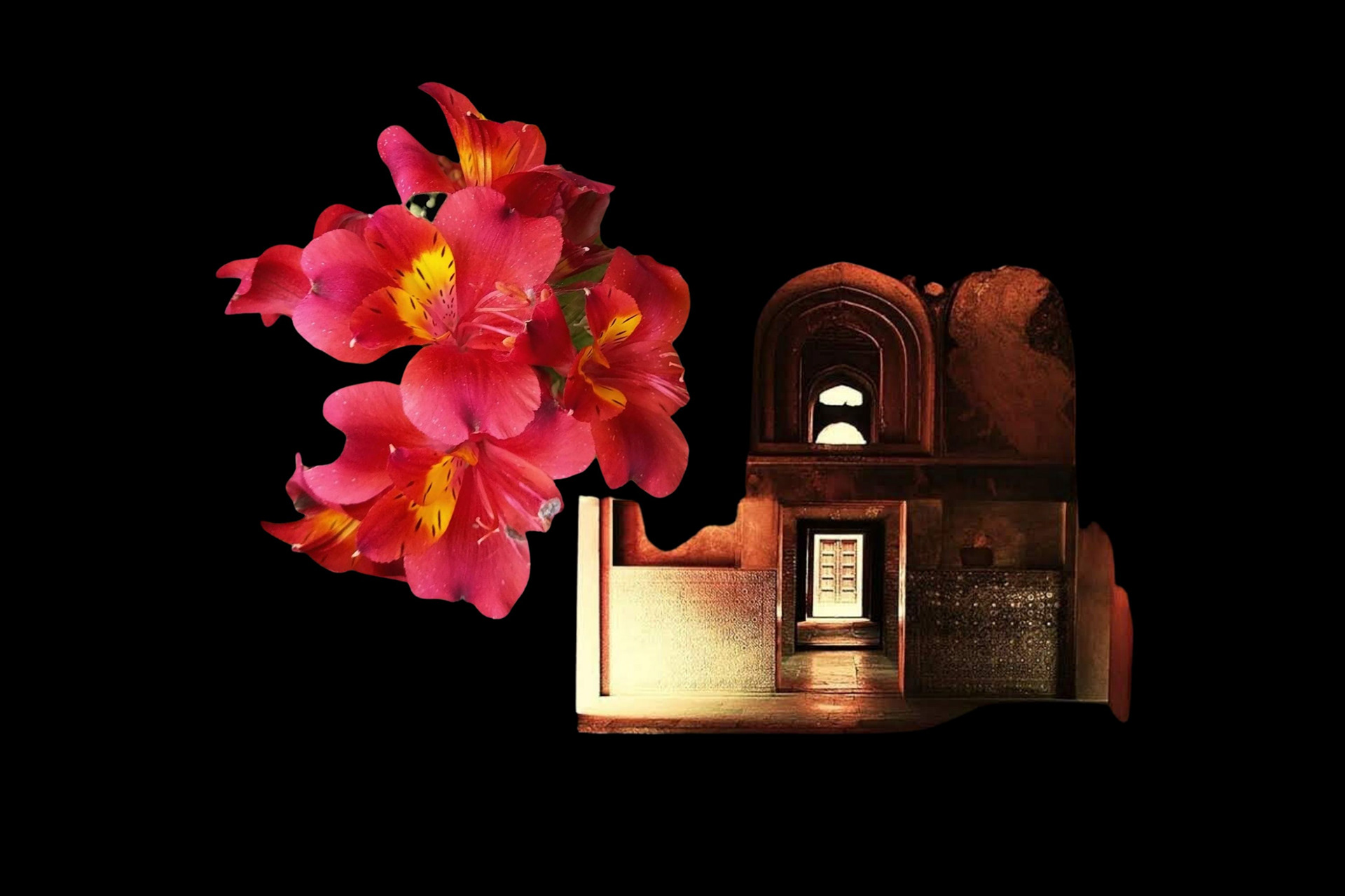 Experimental Visual Arts Photography by Judhajit & Ranadeep Yaanus Films - Series Bloom of Life