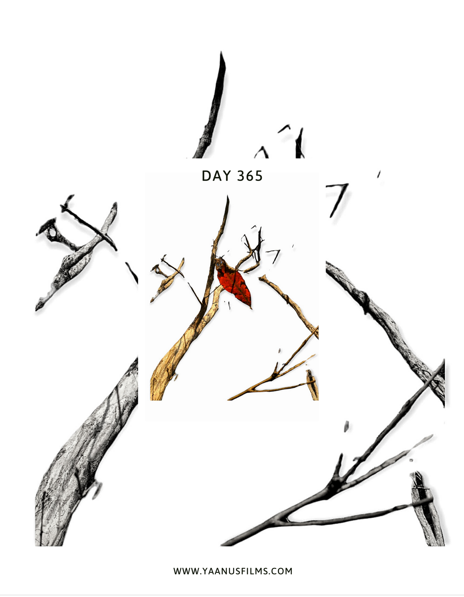 "As You Remain In Me" Experimental Photo Essay by Photographer Visual Artist Judhajit & Ranadeep, Yaanus Films