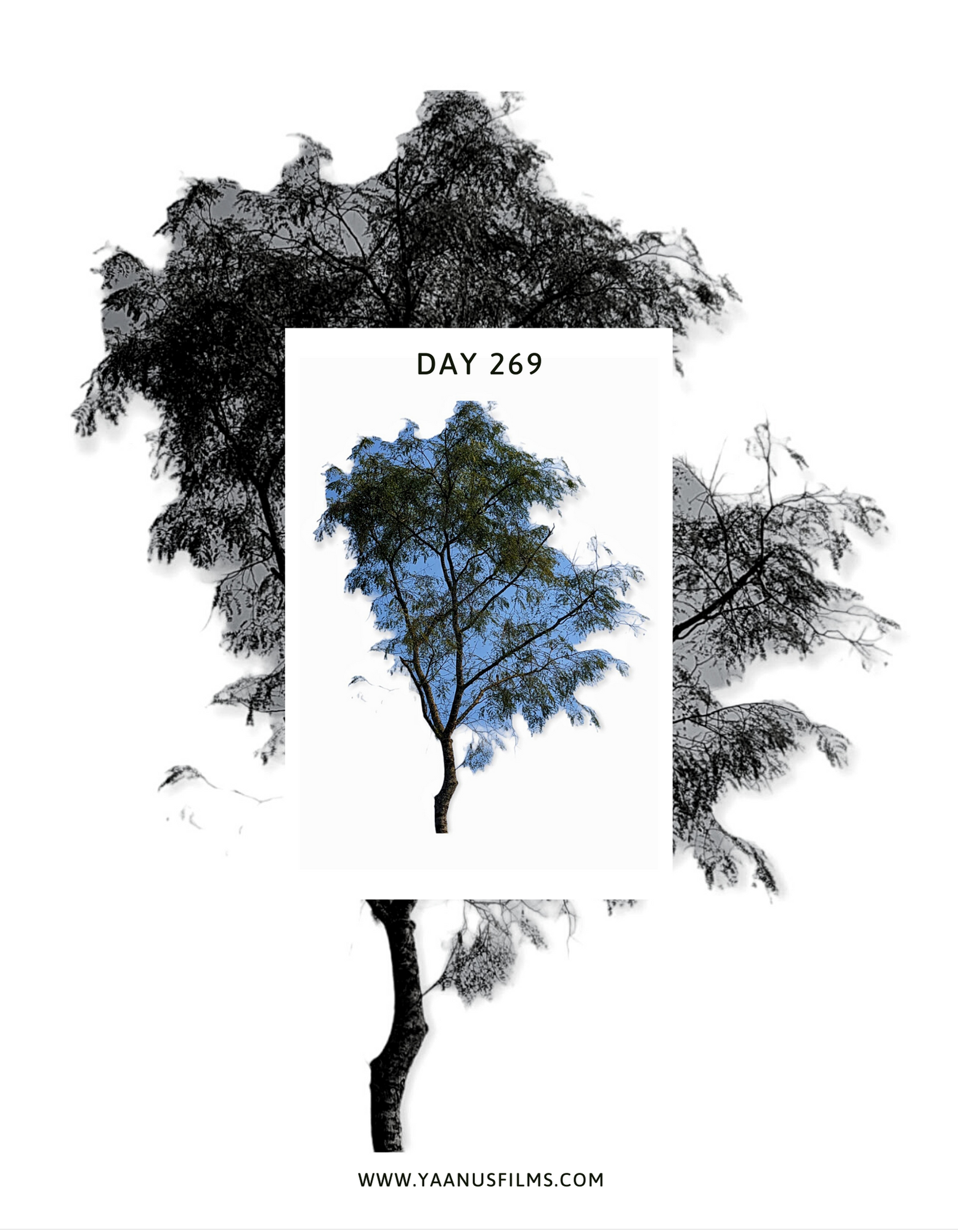 "As You Remain In Me" Experimental Photo Essay by Photographer Visual Artist Judhajit & Ranadeep, Yaanus Films