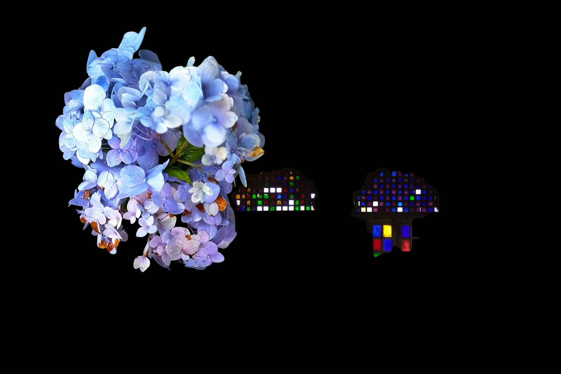 Experimental Visual Arts Photography by Judhajit & Ranadeep Yaanus Films - Series Bloom of Life