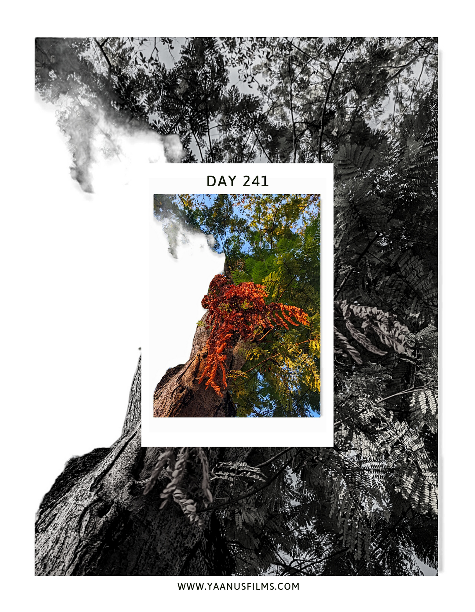 "As You Remain In Me" Experimental Photo Essay by Photographer Visual Artist Judhajit & Ranadeep, Yaanus Films