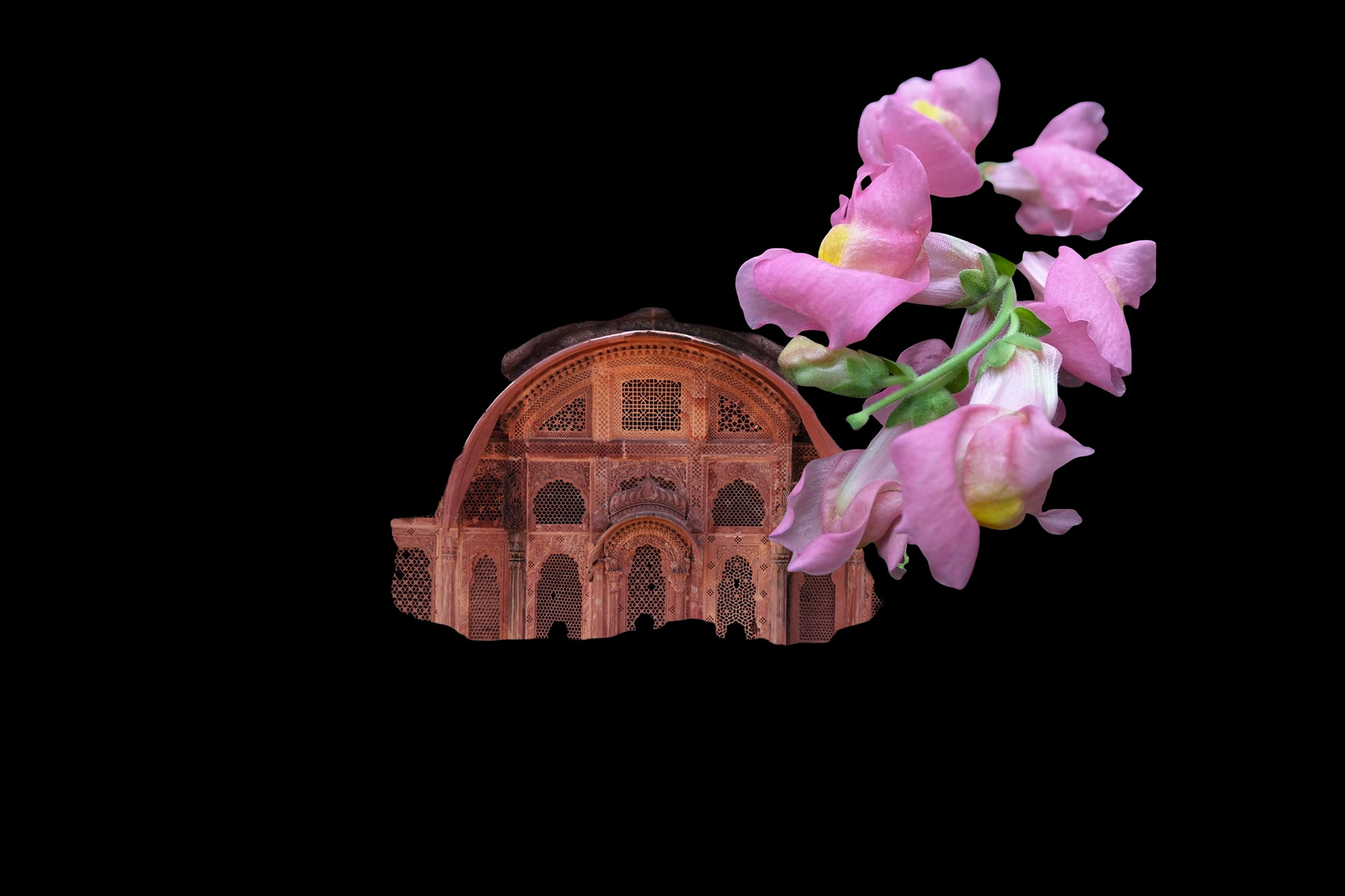 Experimental Visual Arts Photography by Judhajit & Ranadeep Yaanus Films - Series Bloom of Life