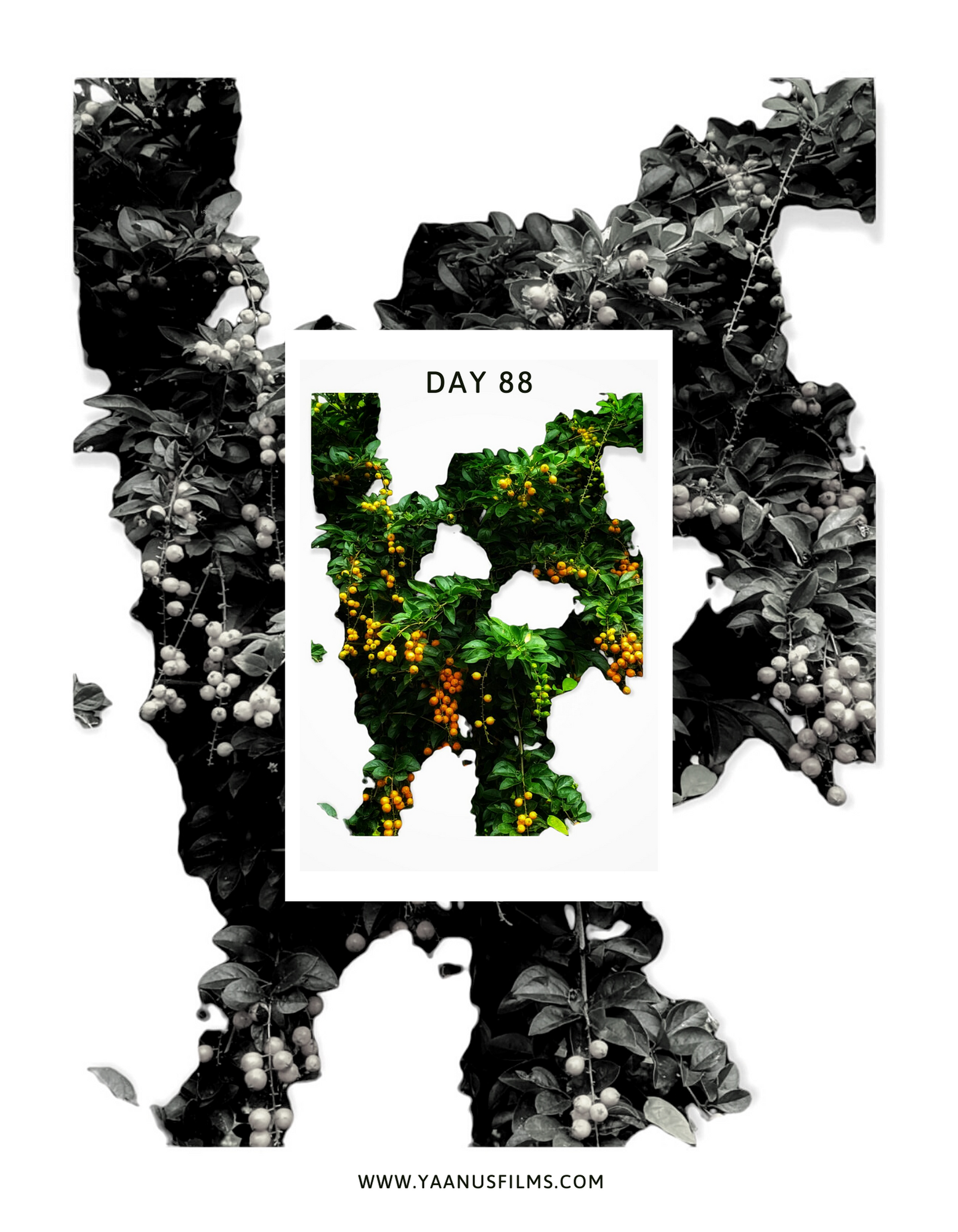 "As You Remain In Me" Experimental Photo Essay by Photographer Visual Artist Judhajit & Ranadeep, Yaanus Films