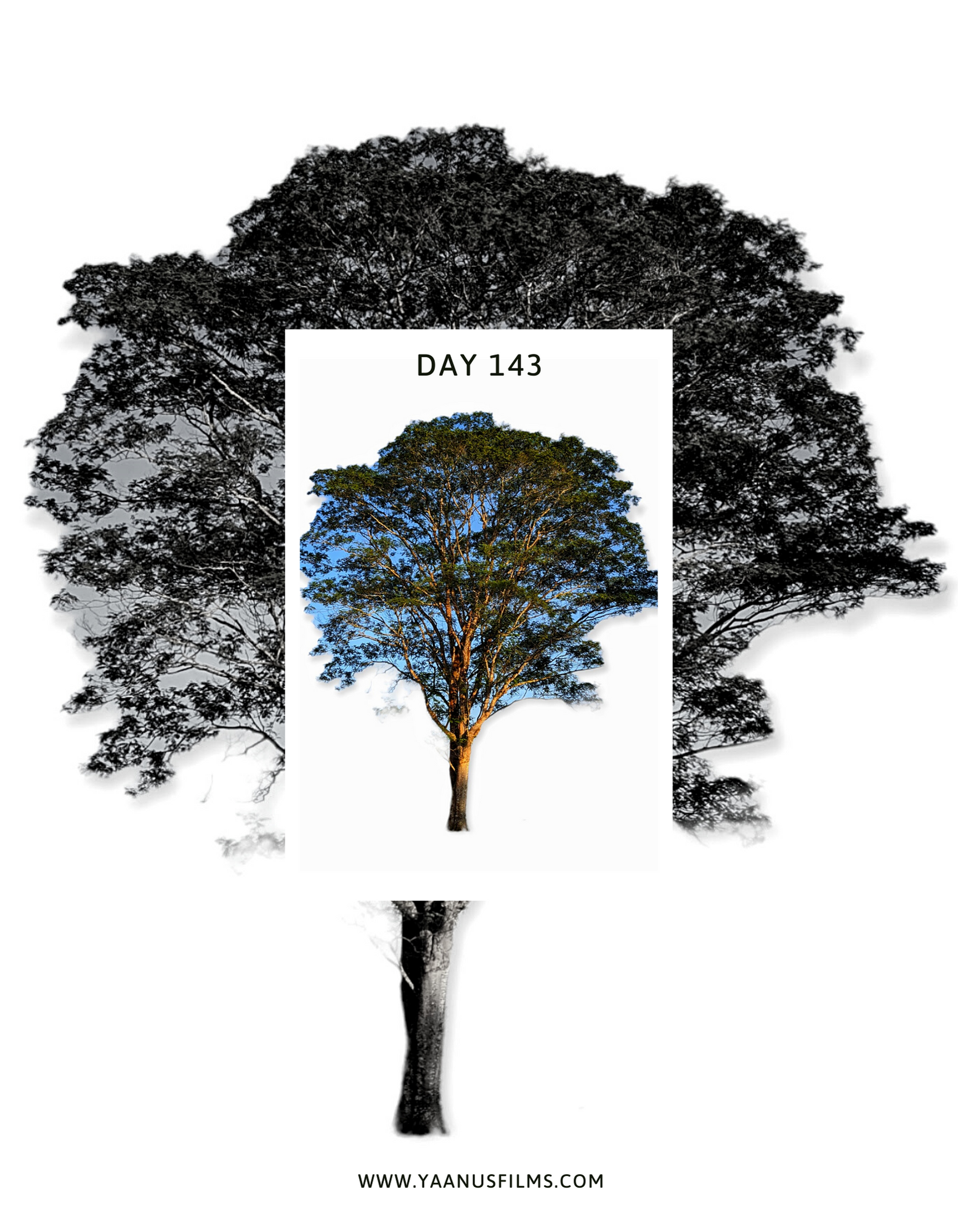 "As You Remain In Me" Experimental Photo Essay by Photographer Visual Artist Judhajit & Ranadeep, Yaanus Films