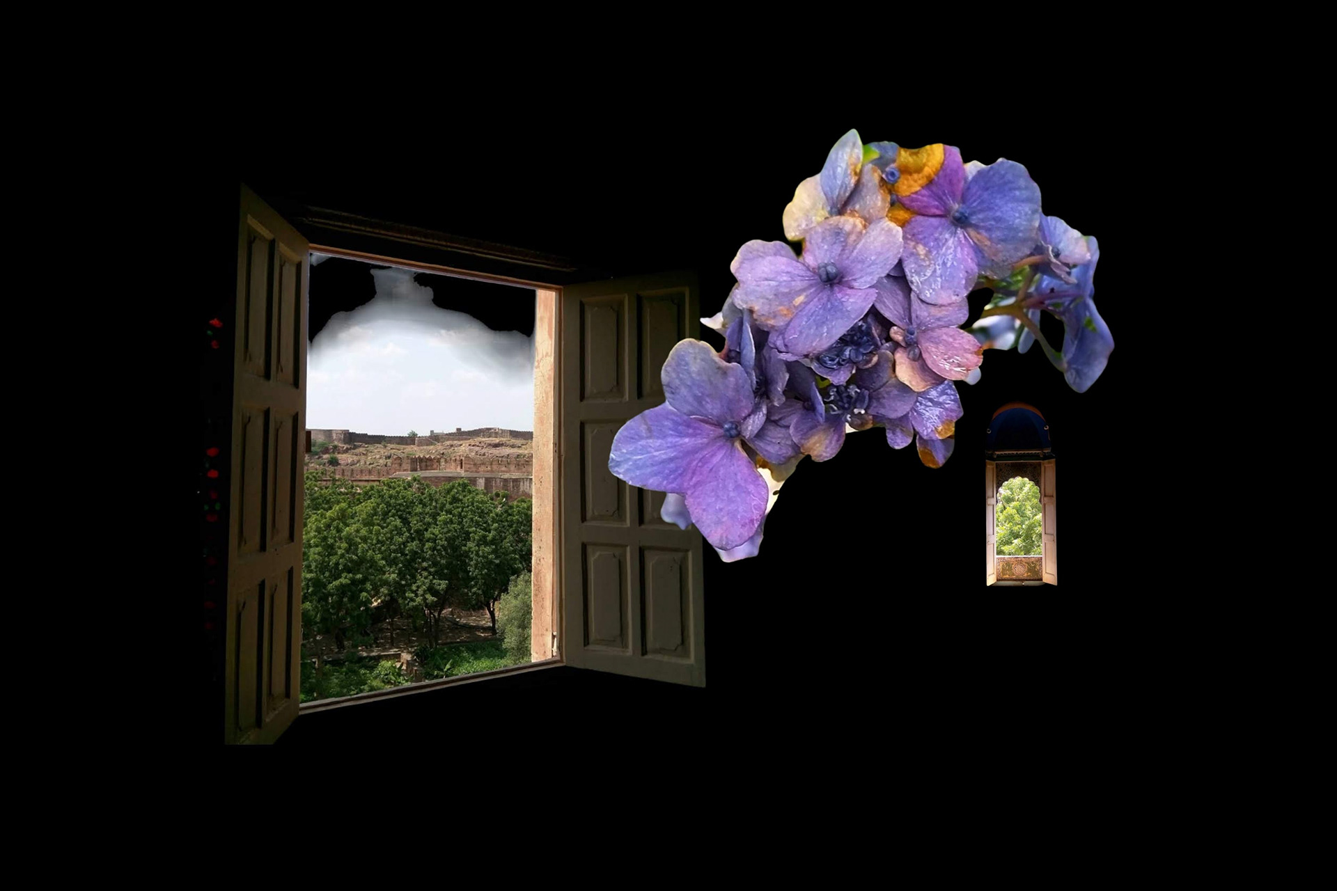 Experimental Visual Arts Photography by Judhajit & Ranadeep Yaanus Films - Series Bloom of Life