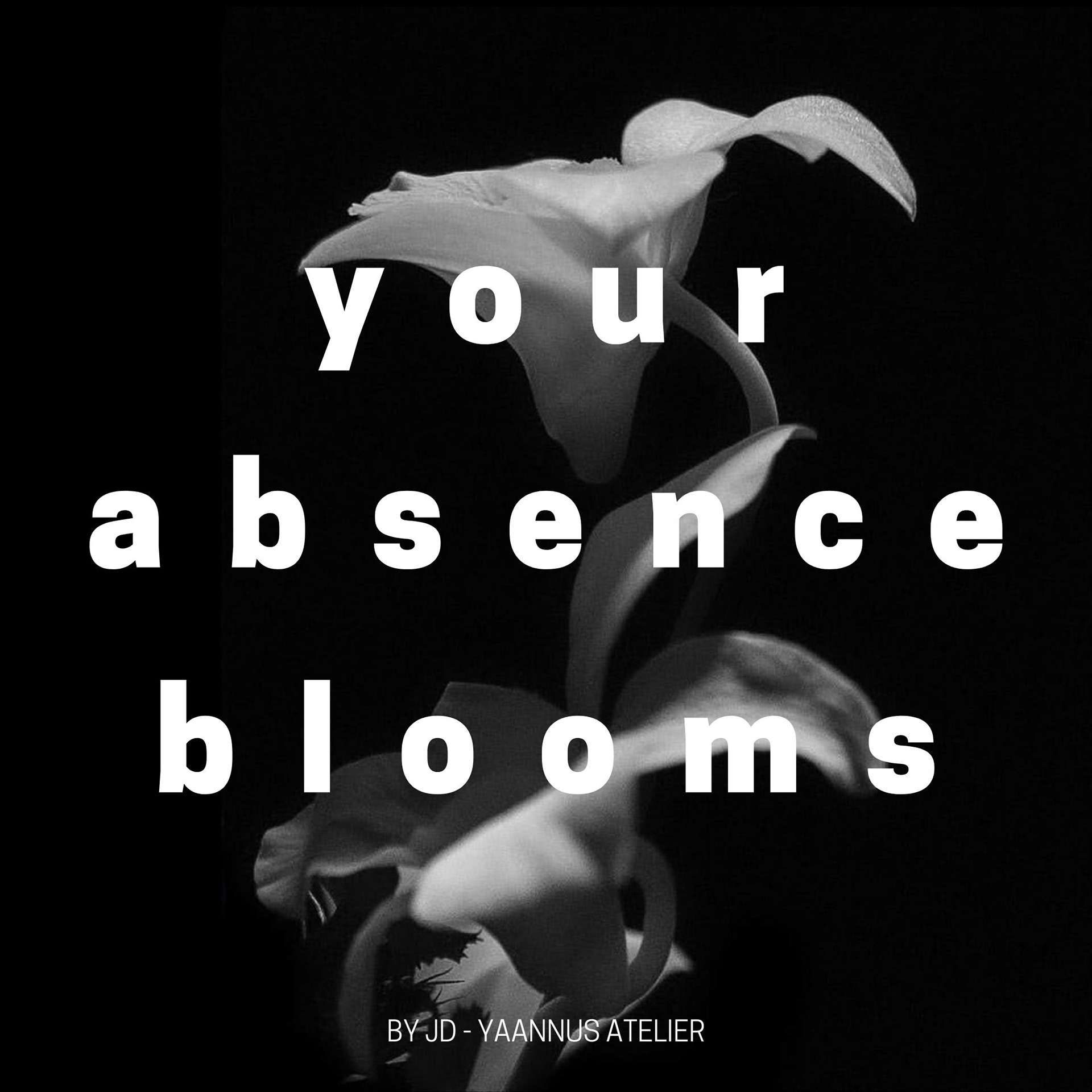 Beauty & Fashion Art Still Life Fine Art Photography by Judhajit Ranadeep Yaanus Films Mumbai