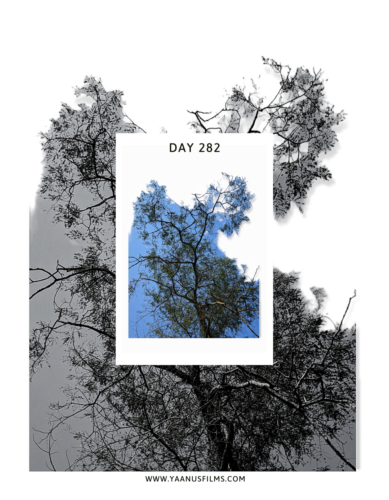 "As You Remain In Me" Experimental Photo Essay by Photographer Visual Artist Judhajit & Ranadeep, Yaanus Films