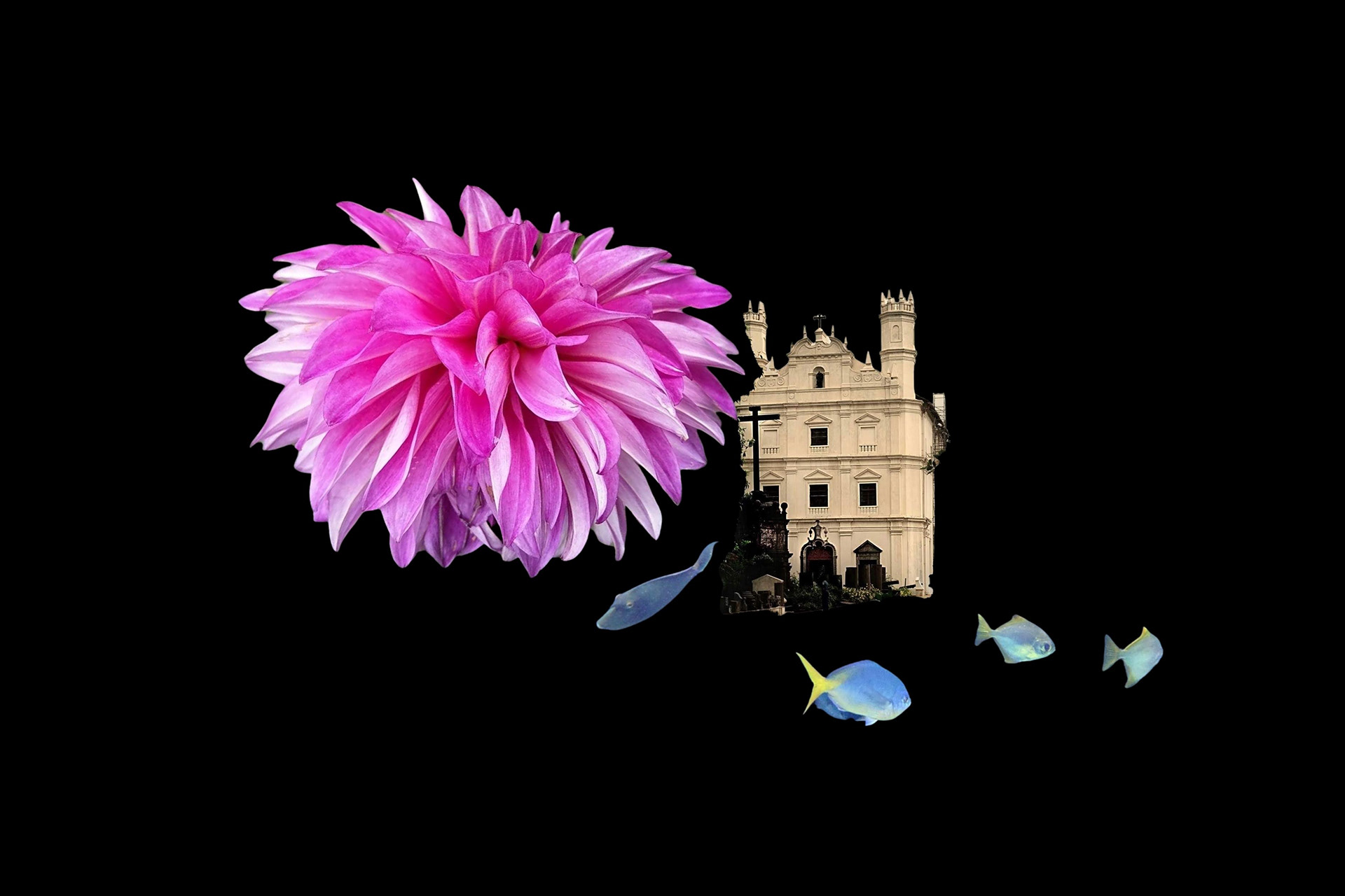 Experimental Visual Arts Photography by Judhajit & Ranadeep Yaanus Films - Series Bloom of Life