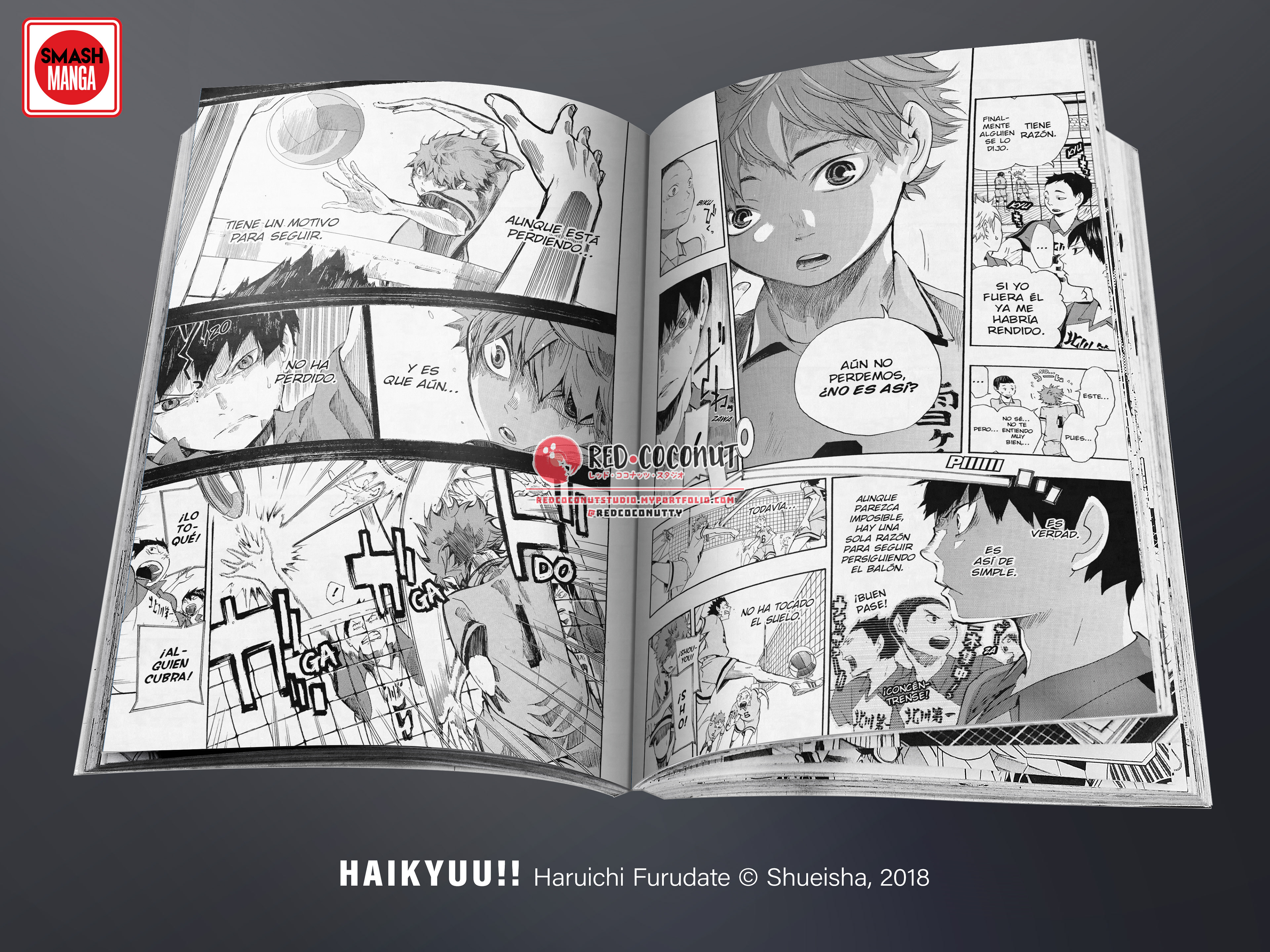 Design Not Final © Shueisha