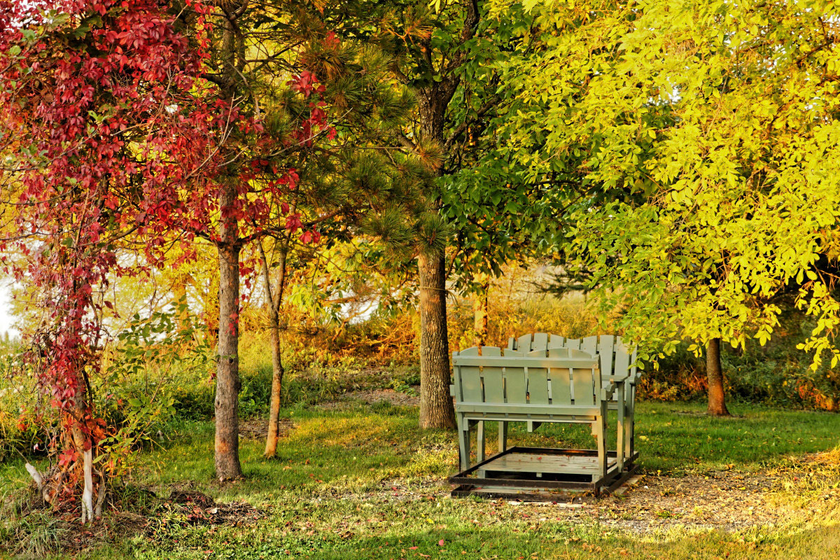 Pause d'automne - Michel Paquin