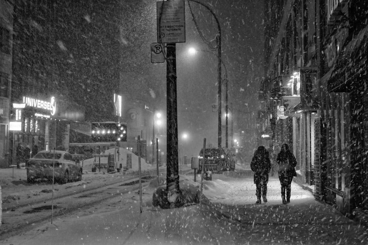 No Parking - Michel Paquin