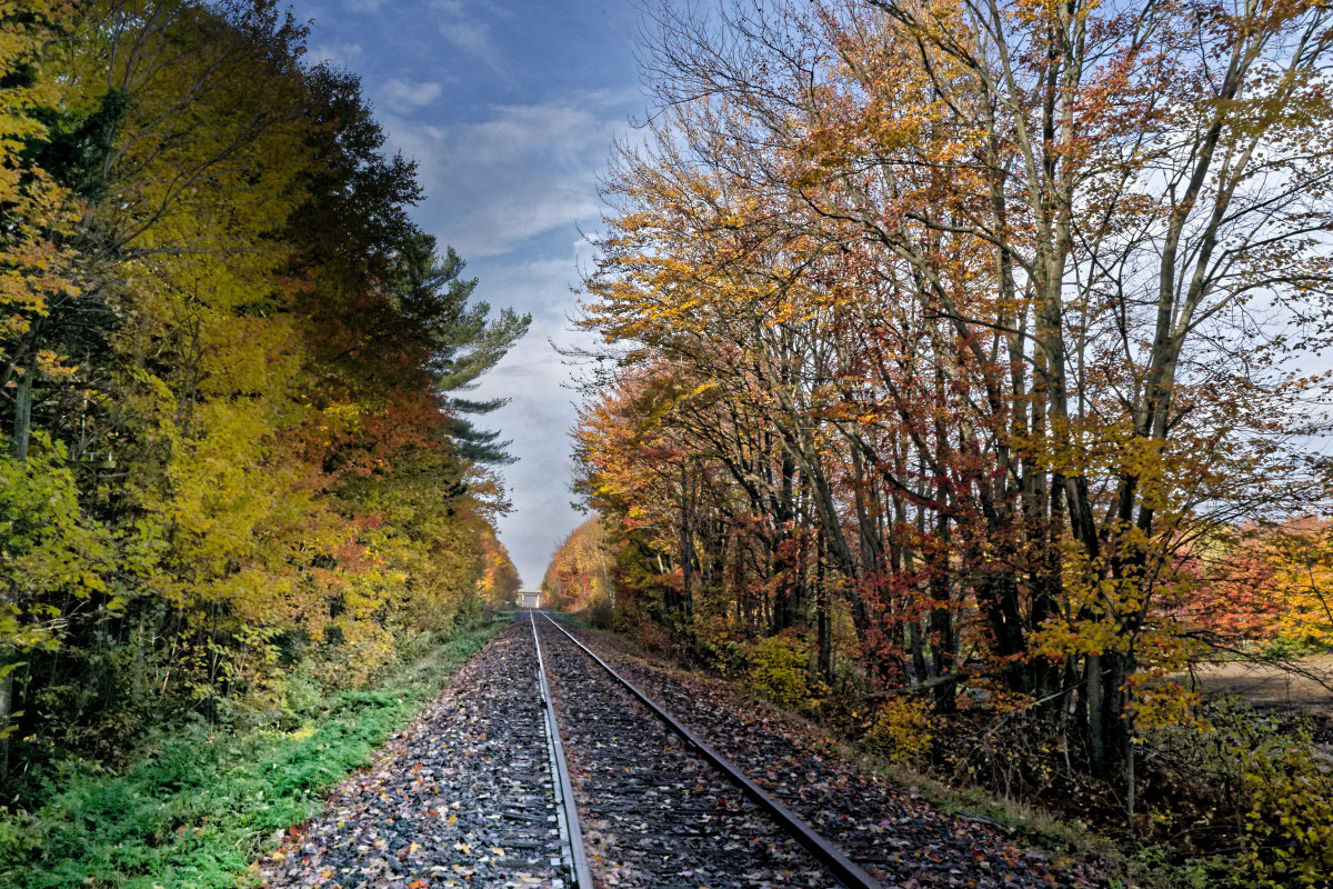 La Voie - Michel Paquin