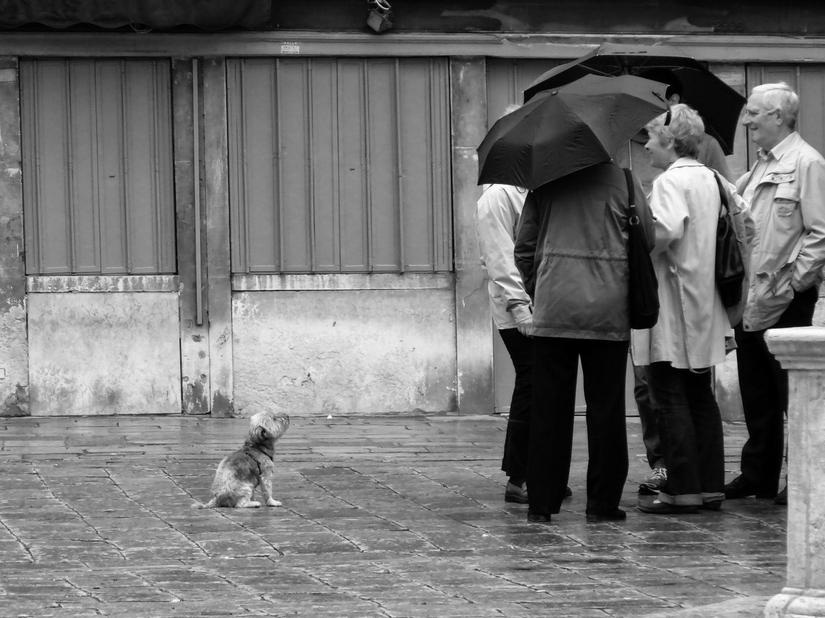 L'attente - Michel Paquin