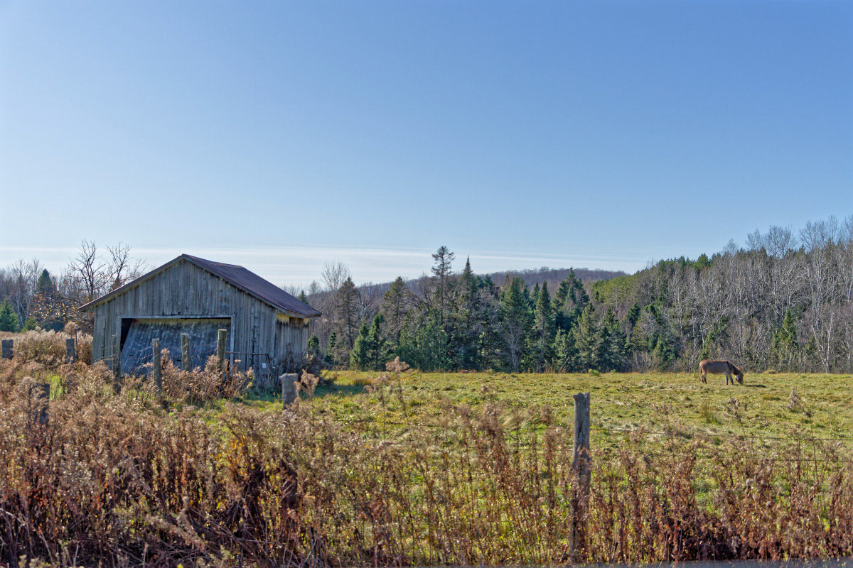 Grange et Clôture - Michel Paquin